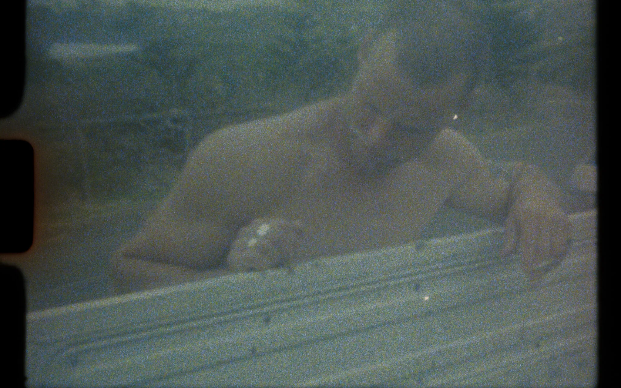 Screen%20Shot%202021-09-22%20at%208.56.39%20am 2.JPG