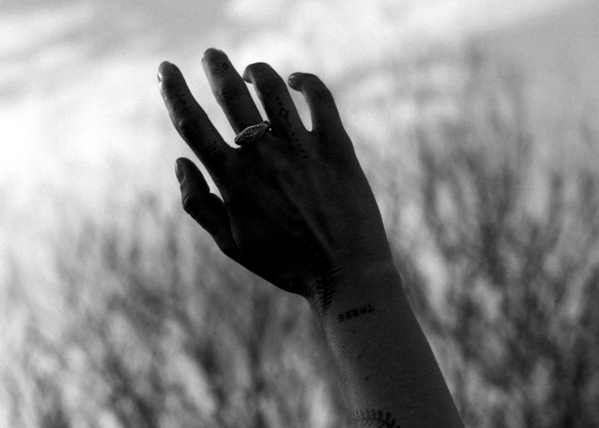 Screen Shot 2022-08-16 at 8.30.05 am.jpg