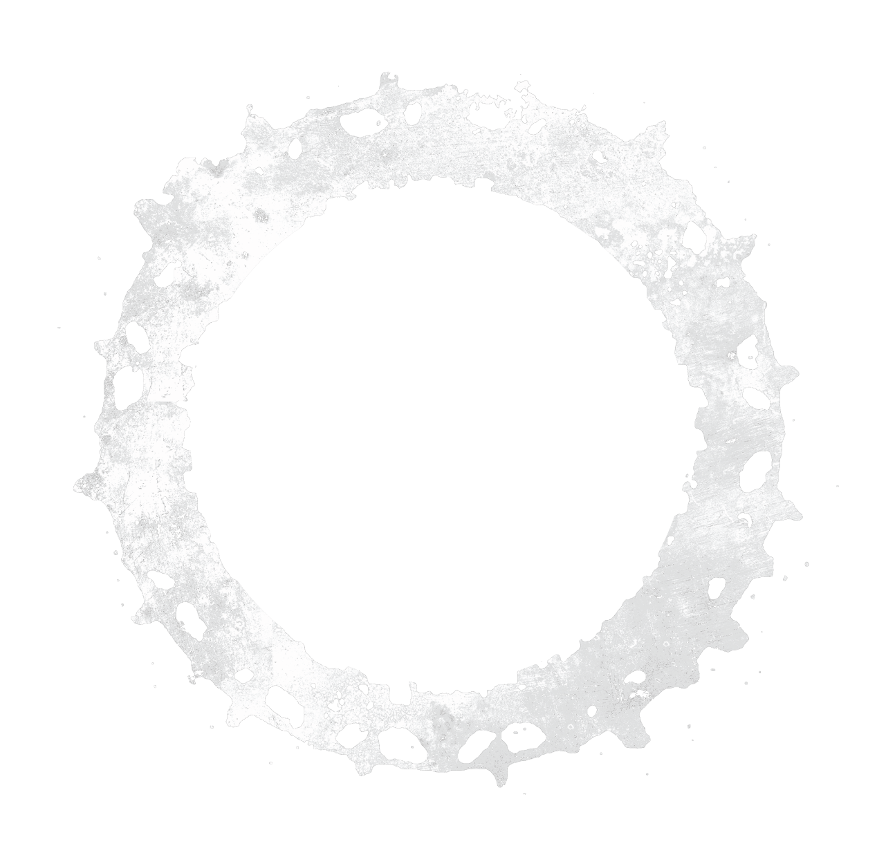 Distressed white circular ring with irregular edges and speckled holes on a black background