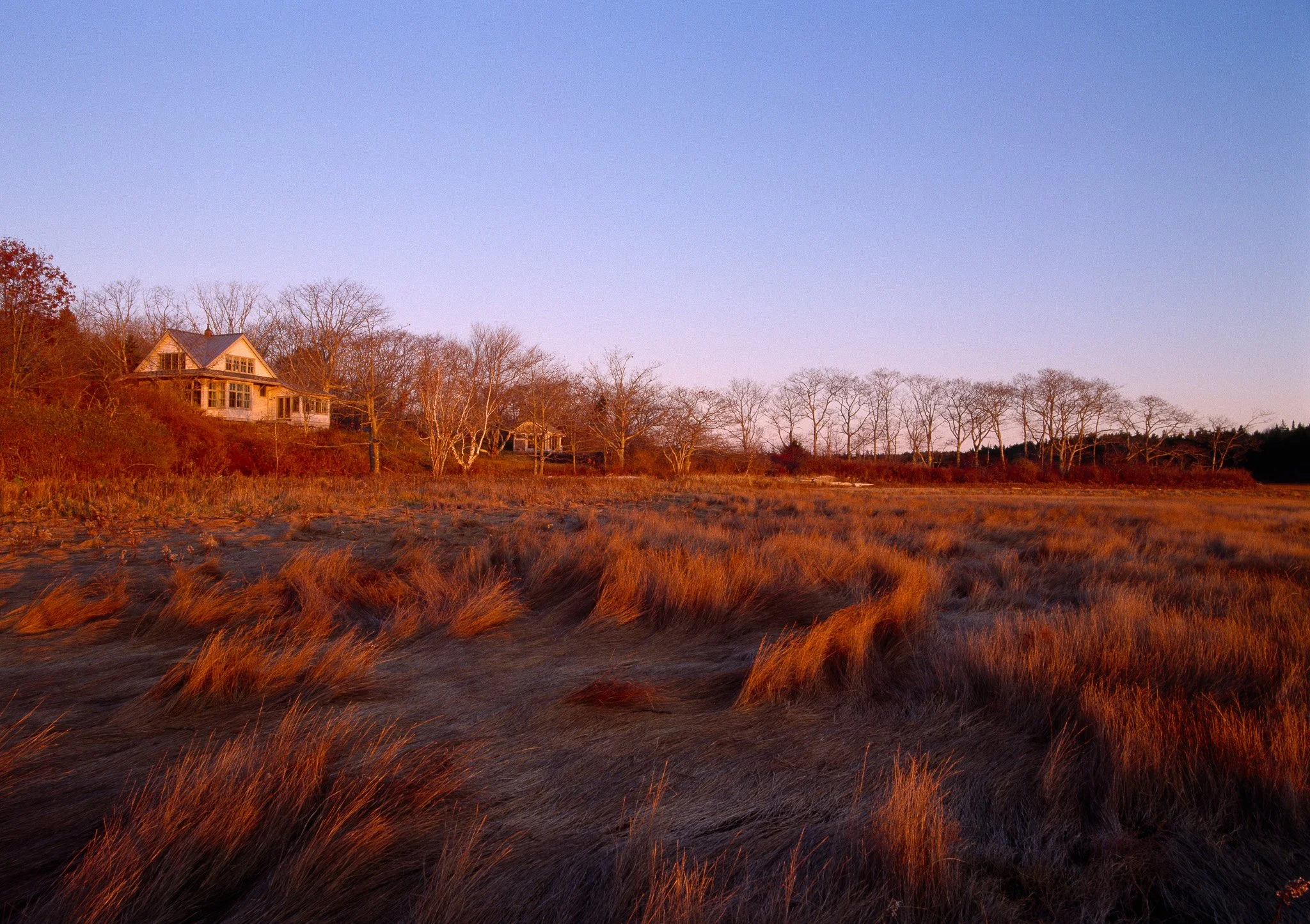 TIDE 015 exterior from marsh 3.jpg
