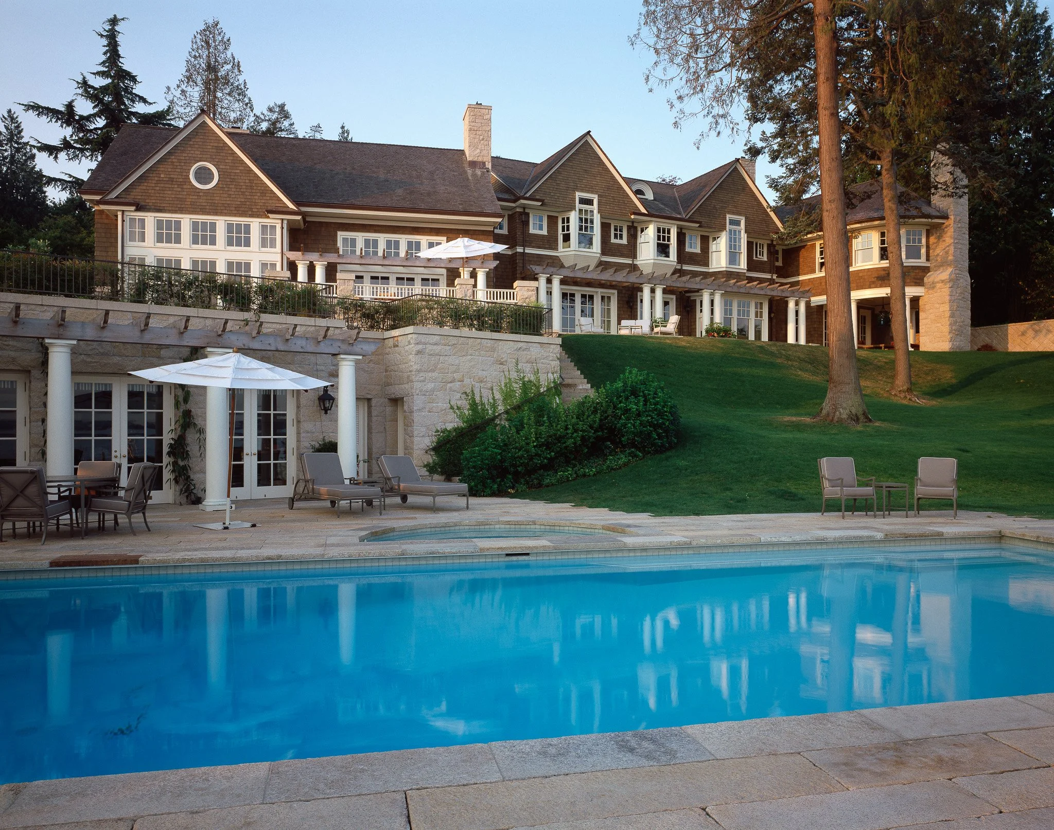 DILL 02 from pool.jpg