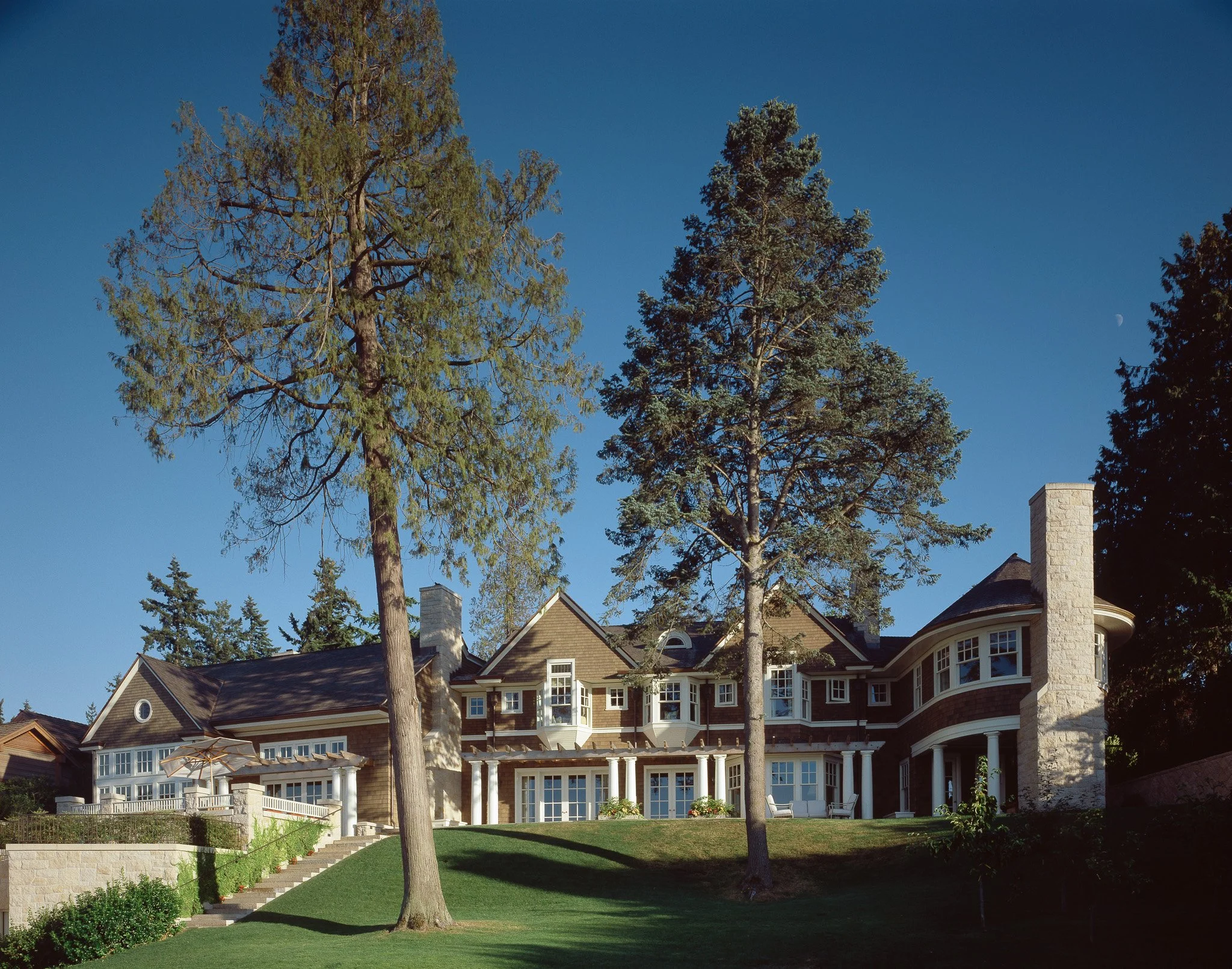 DILL 03 with moon.jpg