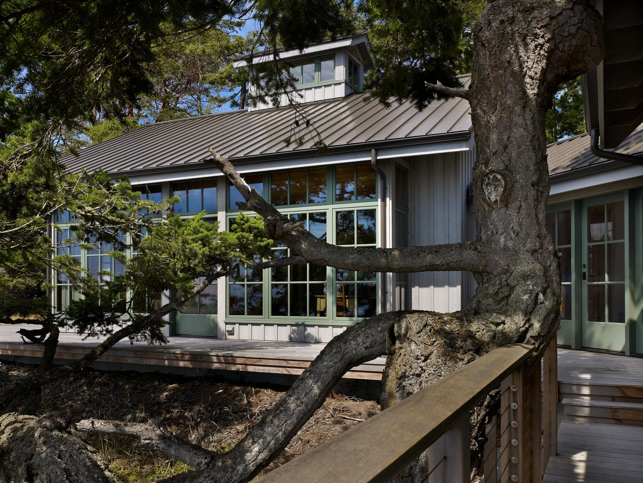 PRES 03 exterior tree.jpg