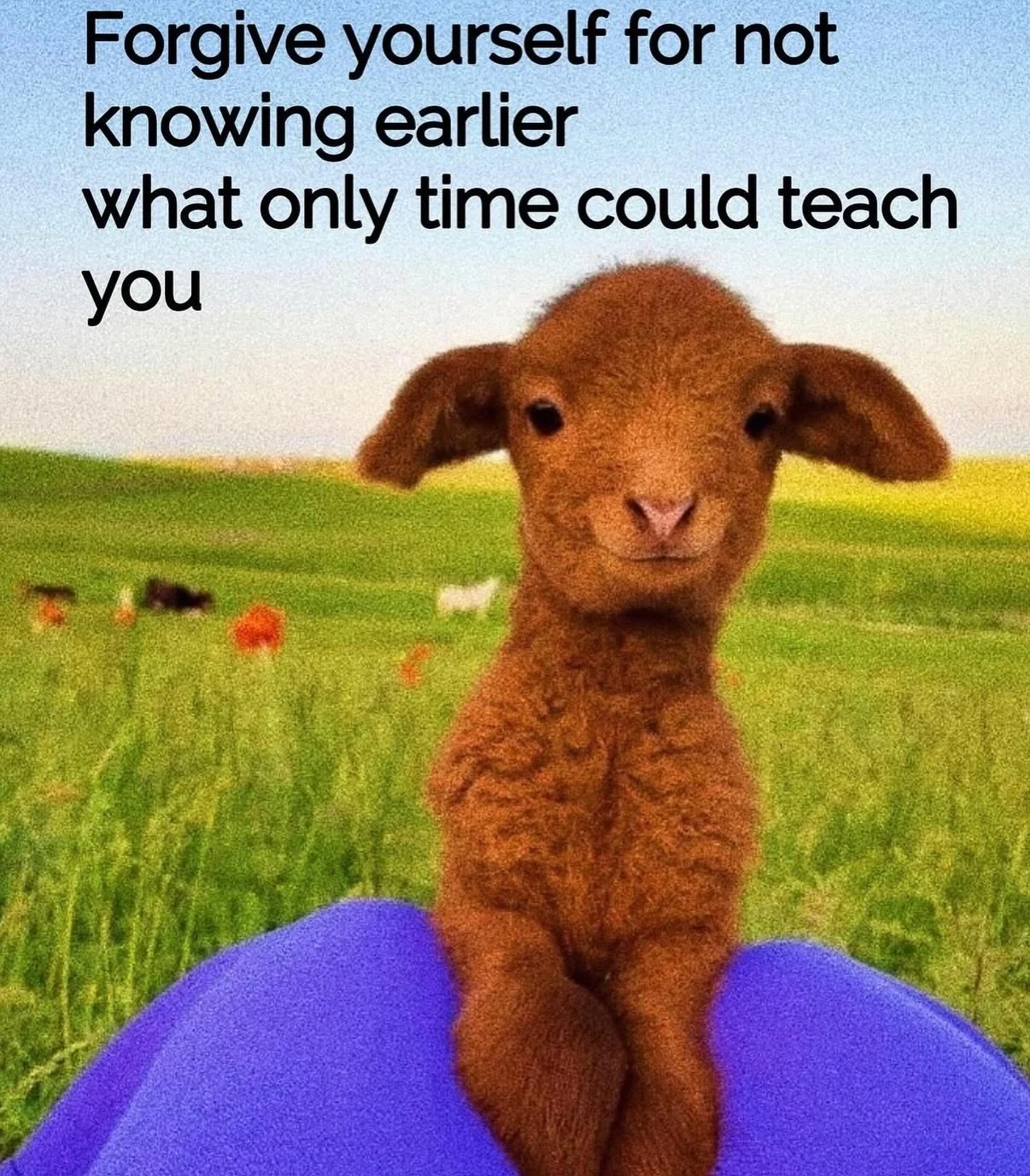 What can you forgive yourself for?

Maybe how you handled a certain situation?
Or for staying longer than you should have?
For not knowing then what you know now?

What would actually change if you stopped holding that over yourself?

Life is hard ri