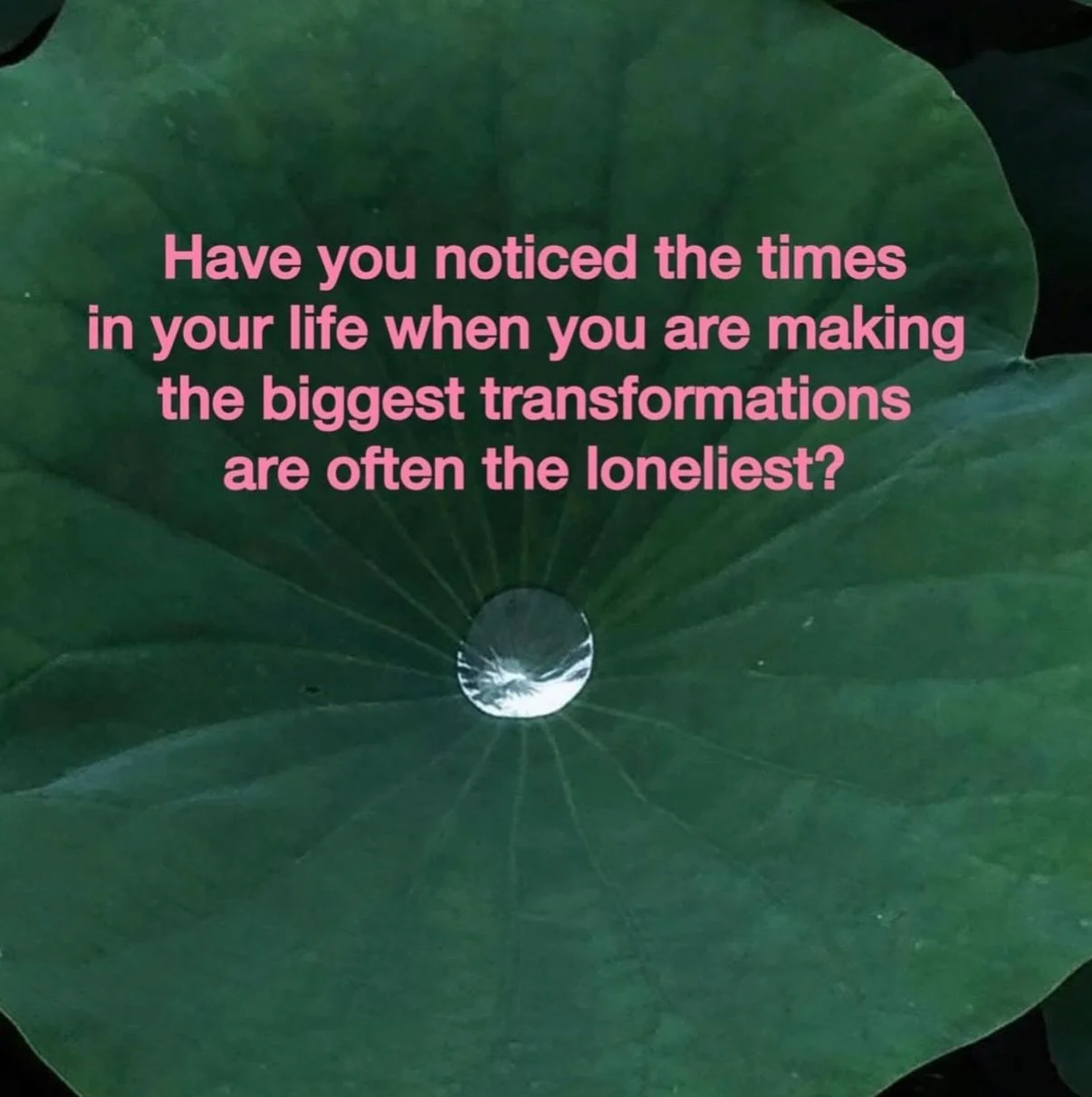 A somatic practice to call in self trust and intuition⤵️

📌 Save this for when you&rsquo;re needing to slow down, access your intuition and self connection 

-Pause and arrive-
Take a moment to slow down. Feel your feet on the ground, your seat in t