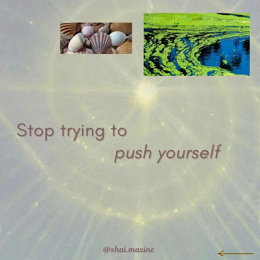 Comment &ldquo;newsletter&rdquo; if you want a somatic approach on how to actually move through and process emotional overwhelm 🌱 

When you&rsquo;re emotionally overwhelmed, the instinct is often to push through and to keep going, keep doing, keep 