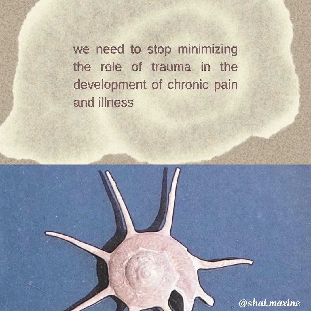 So many of us spend years trying to &ldquo;fix&rdquo; their chronic pain, fatigue, gut issues, migraines, tension, dizziness, or anxiety only through the physical body&hellip; while completely missing the deeper survival patterns happening underneath