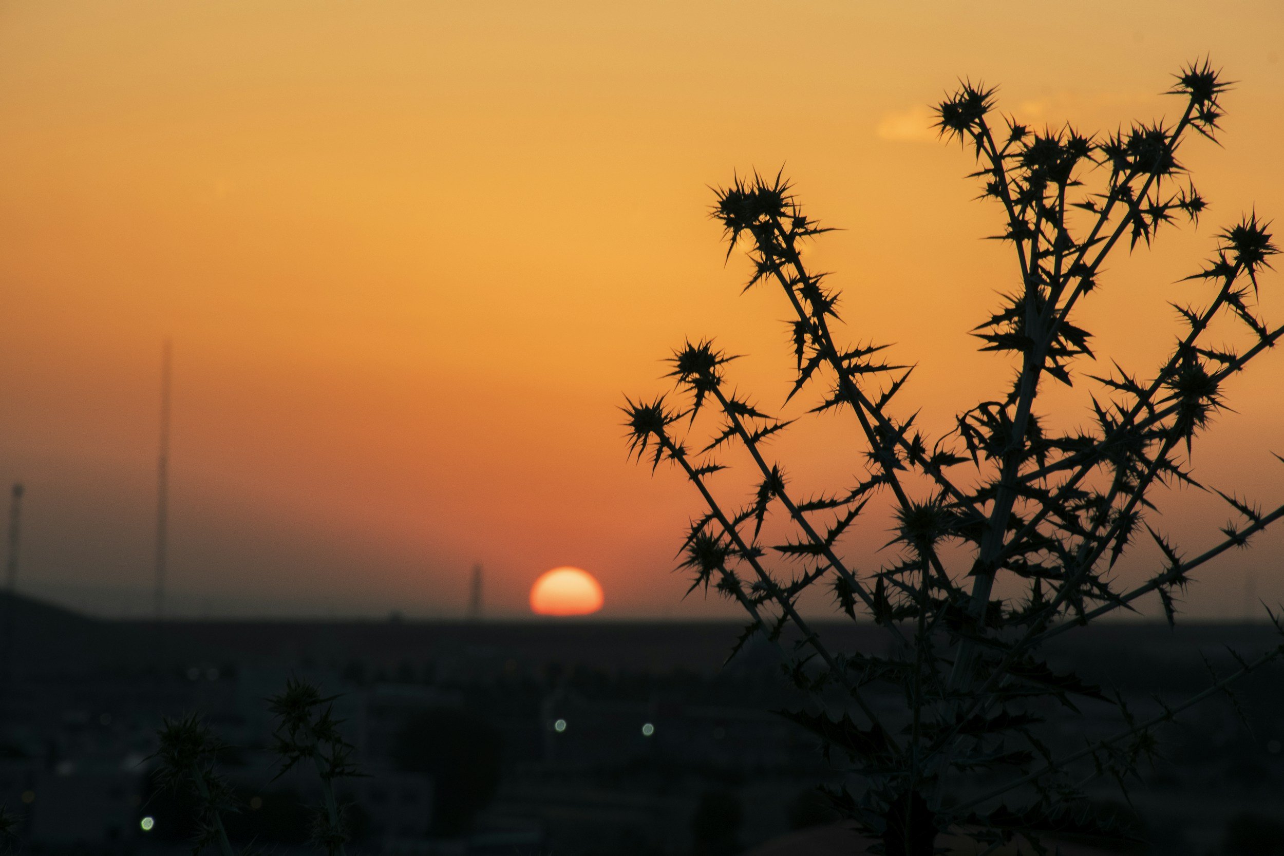 Why You Wake Up with Morning Anxiety Before Anything Has Happened