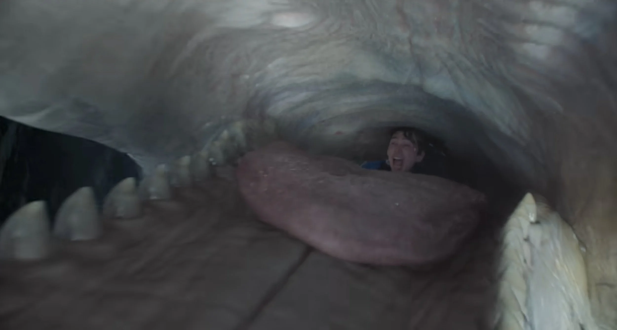 The One with the Whale