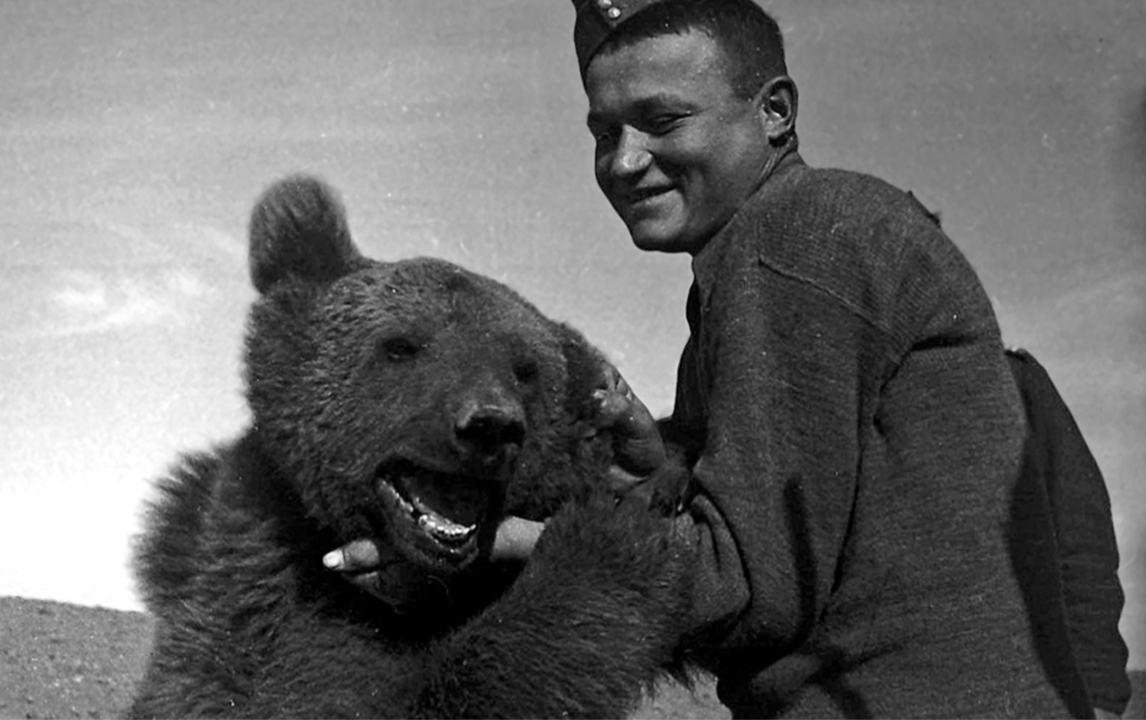 Wojtek