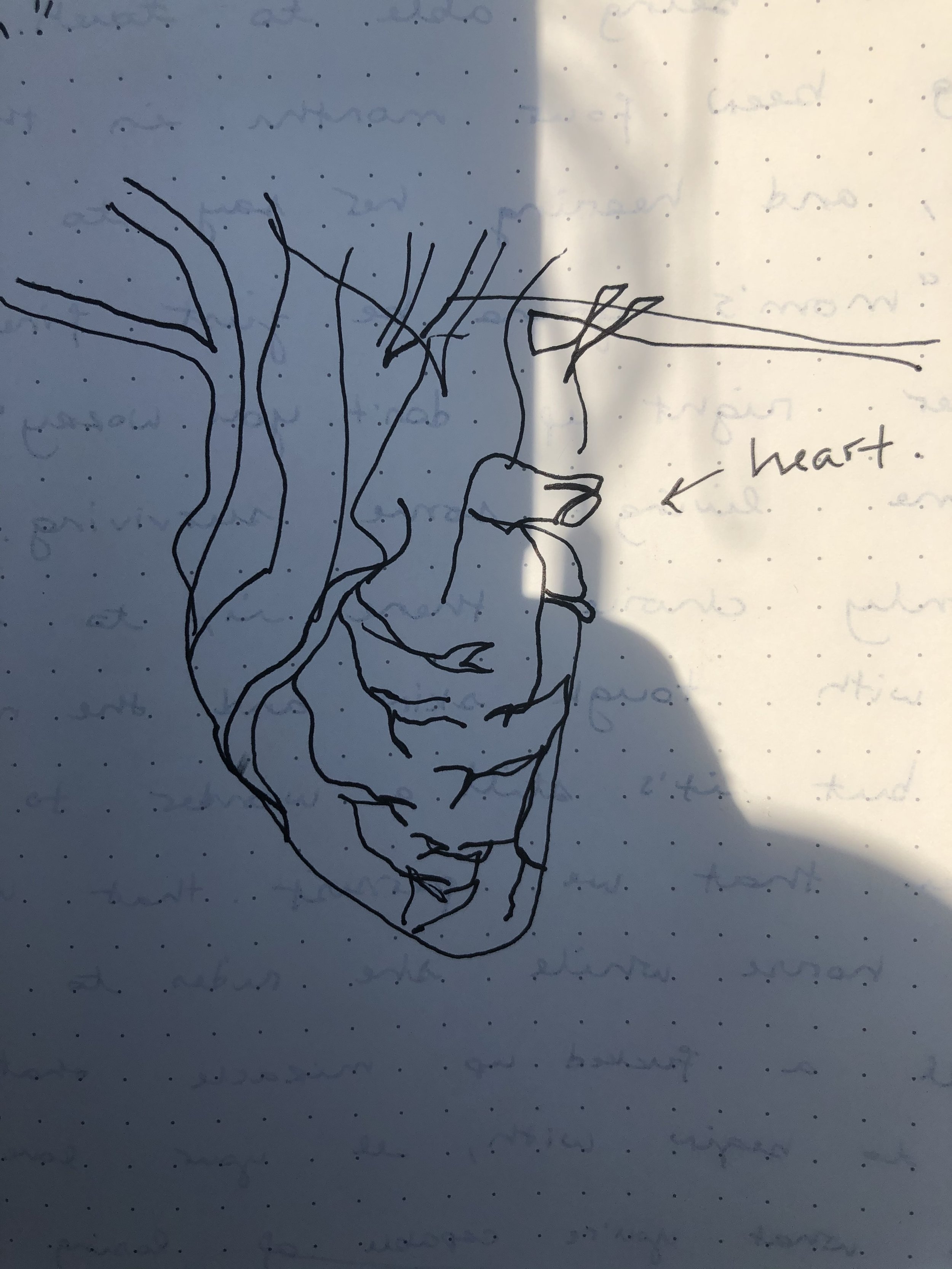 heart.jpeg