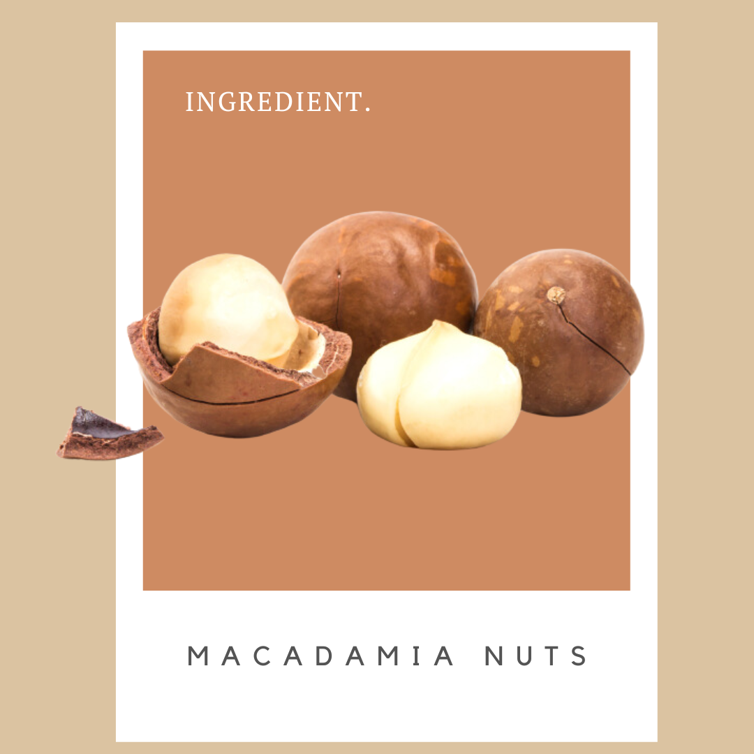 Package label featuring images of macadamia nuts, both whole and shelled, with the text 'INGREDIENT.' at top and 'MACADAMIA NUTS' at bottom.