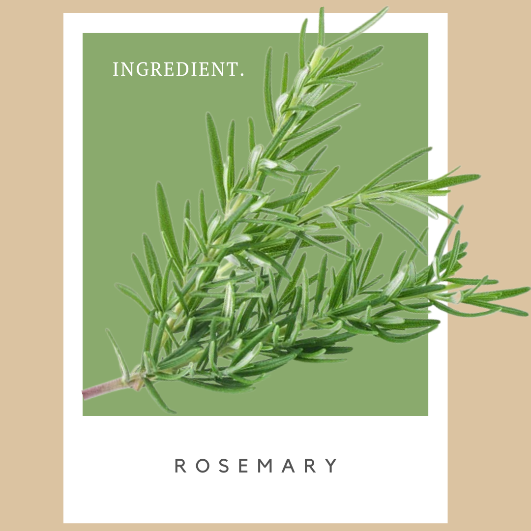 Illustration of a sprig of fresh rosemary herb on a background with green and beige sections, with the word 'INGREDIENT' written in the top left and 'ROSEMARY' at the bottom.