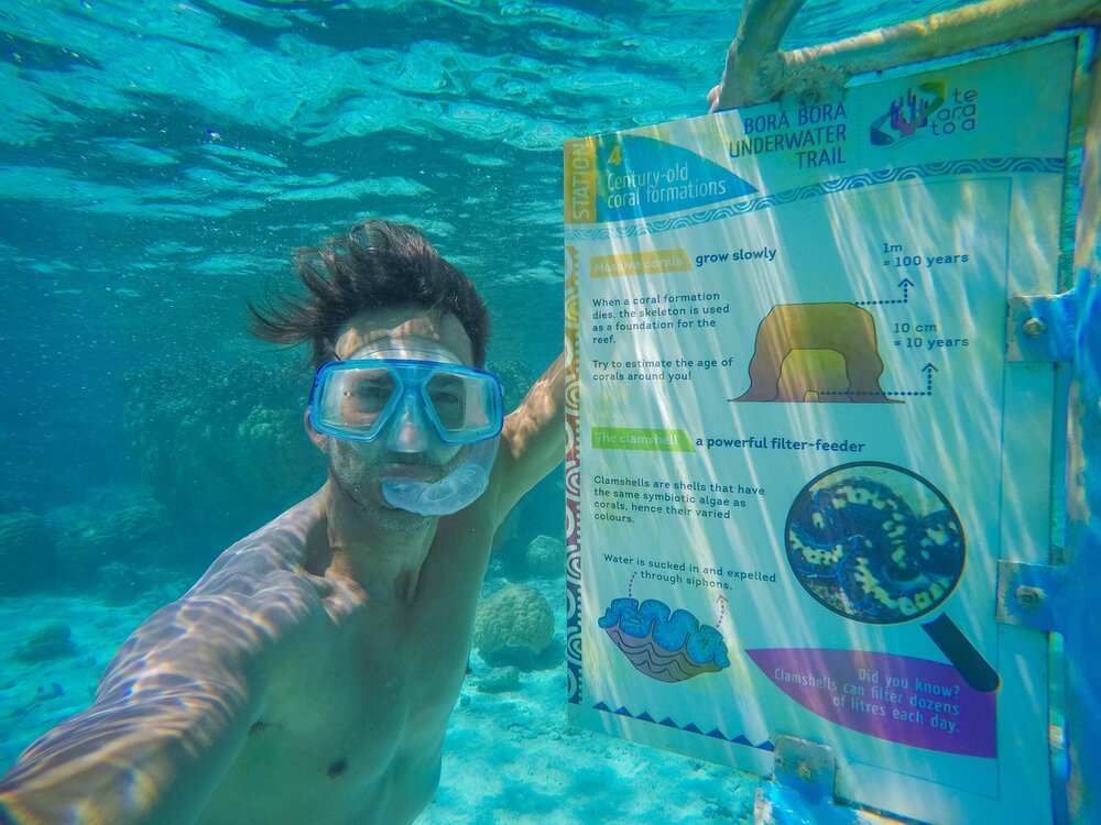 Ryan Young Underwater Hike Bora Bora.jpeg