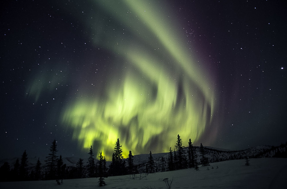 Northern Lights Alaska by Karl Simone.jpeg