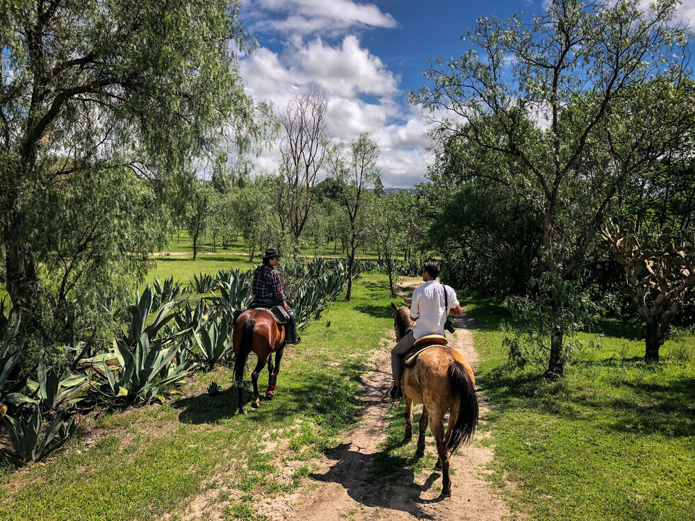 Horseback-Riding-San-Miguel-de-Allende-2.jpeg
