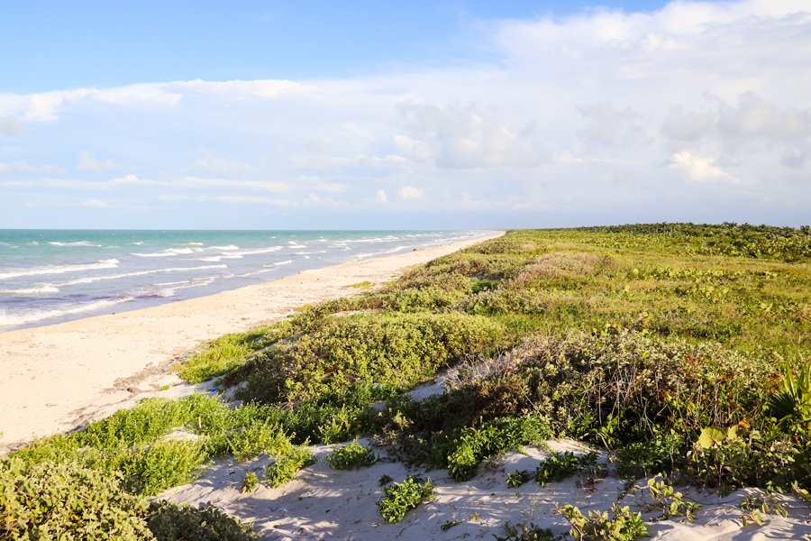 Ría Lagarto Reserve Coastline