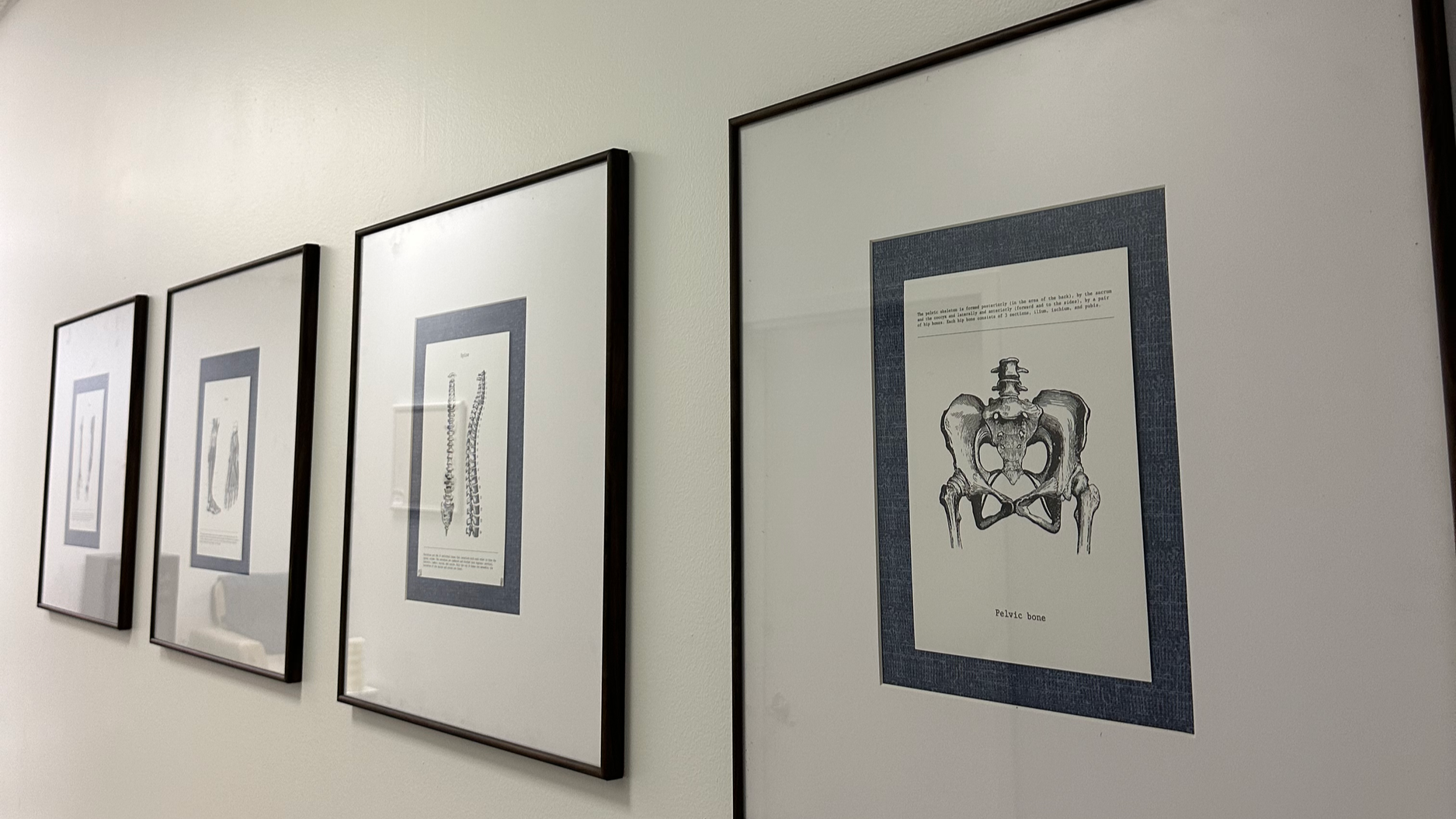 chiropractic office clinic gym