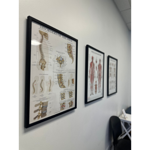 chiropractic clinic
