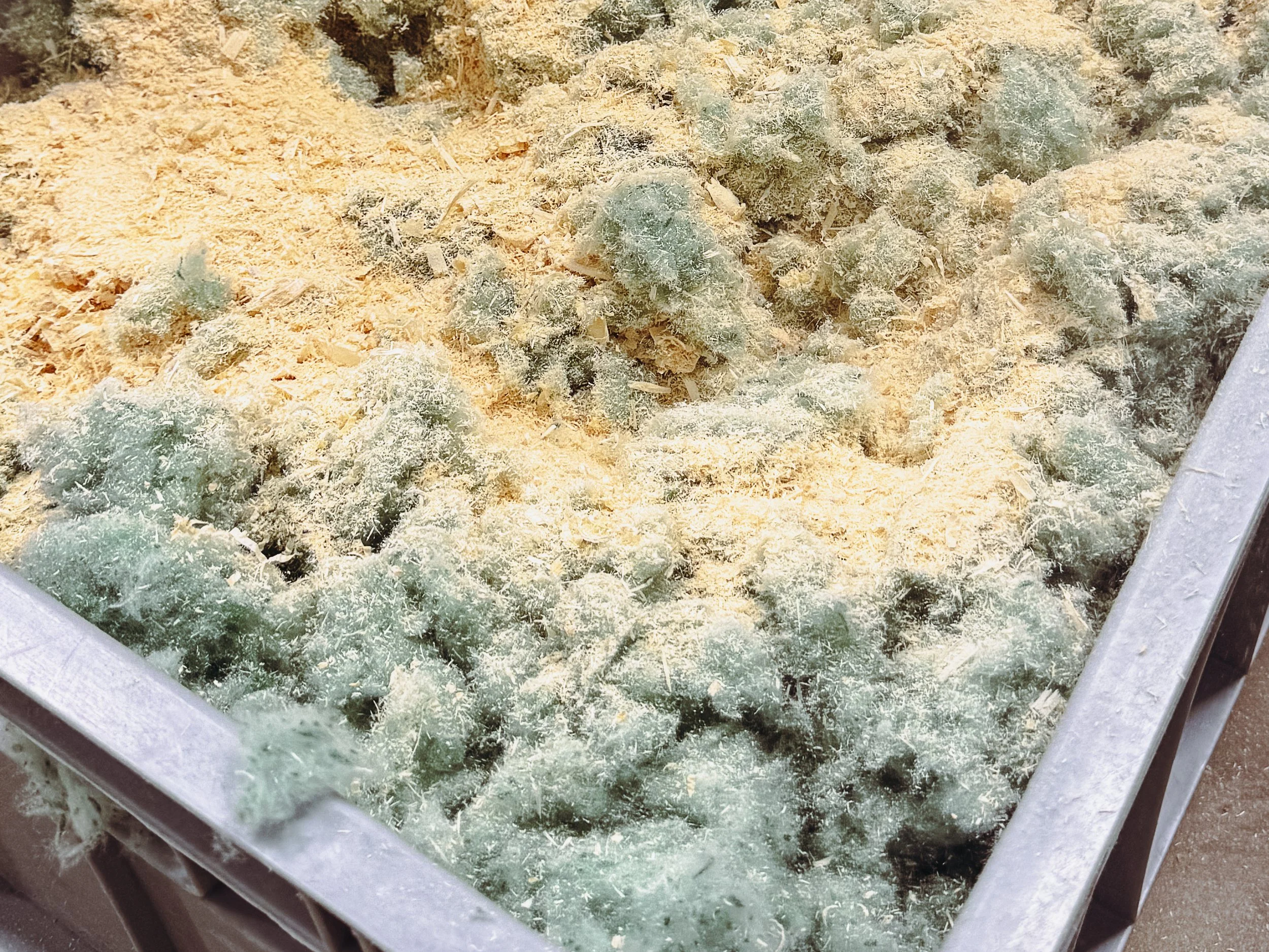 Textile and wood material - PUR Interior - The Loop Factory-2279.jpg