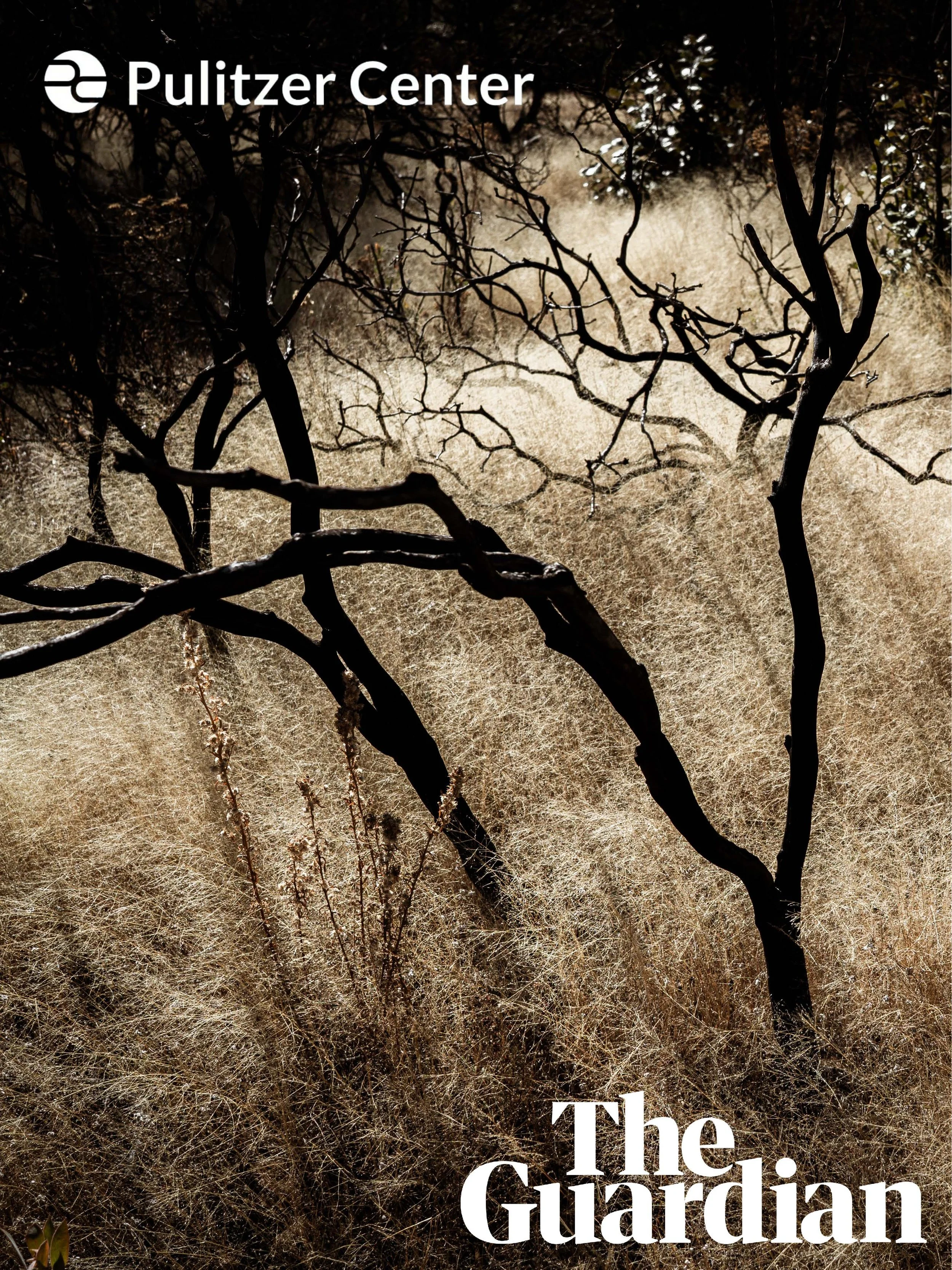 Guardian Cover Page - Tarahumara.jpg