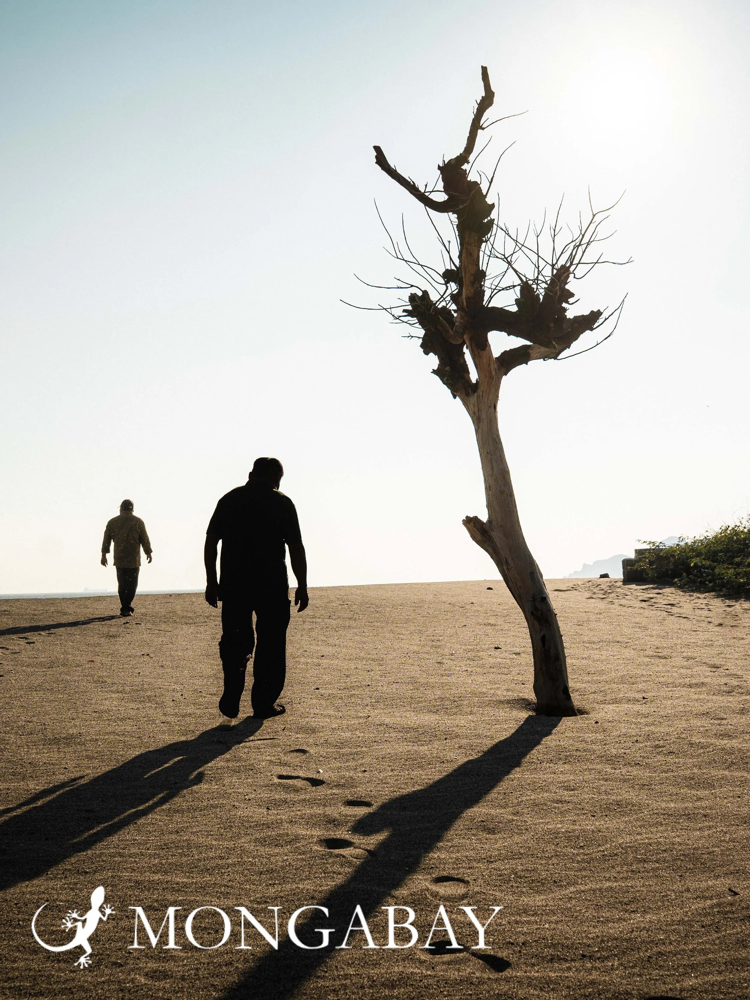 Mongabay Cover Page - San Mateo del Mar.jpg