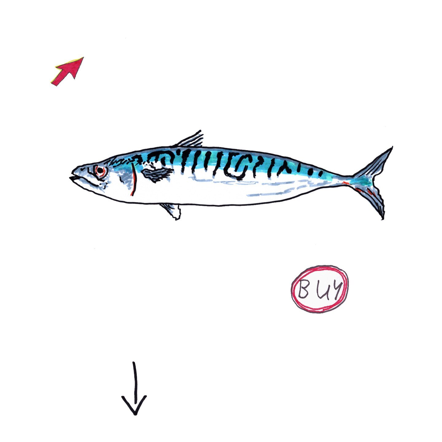 Buy this mackerel in SUPERMARKET TIMES