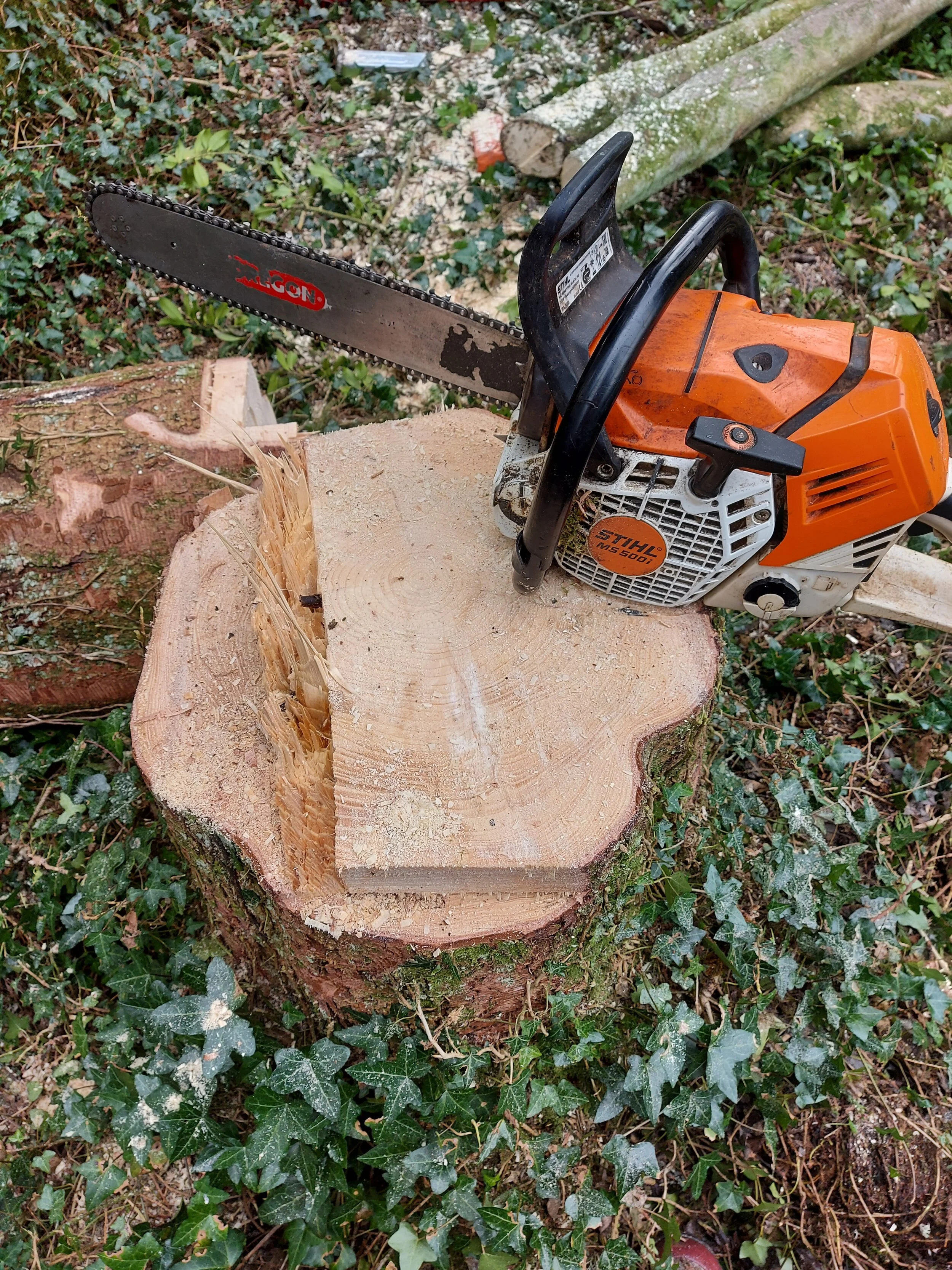 Tree Felling Services