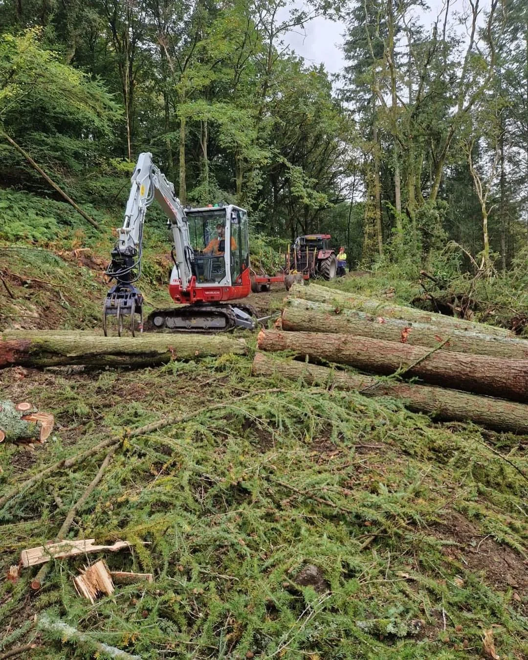 Thumbnail for Tree Gator Hire For Logging And Forestry Operations