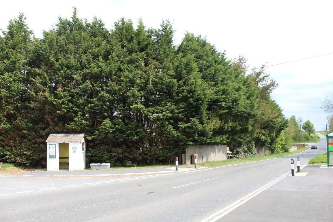 Swansea – Professional Tree Surgery & Arborist Services
