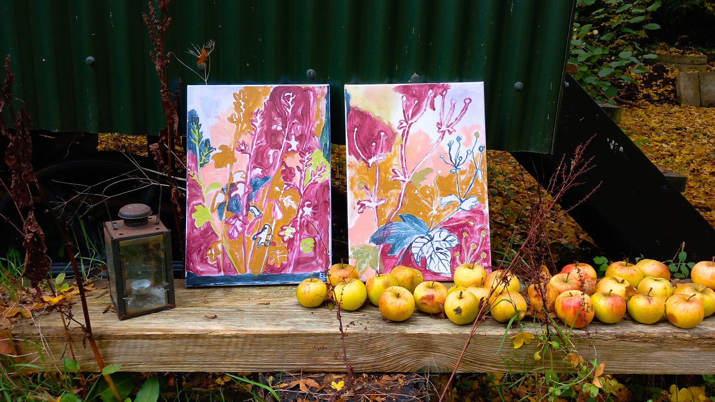 Erica Luke at The Hide : I see tending to the garden as a creative act…