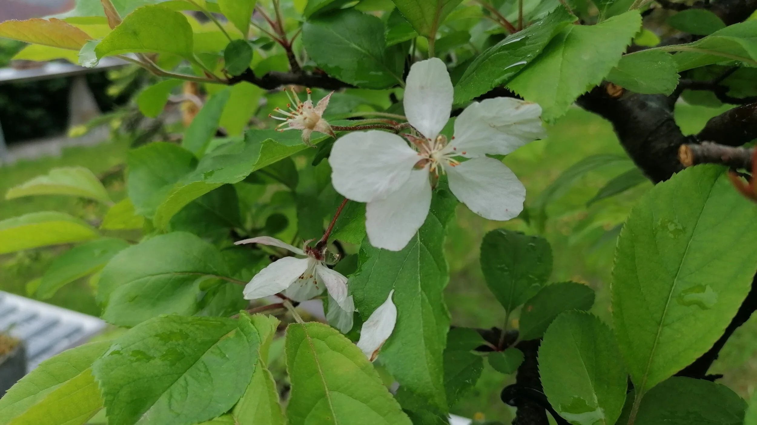 Hauptversammlung auf dem Stampf 2021