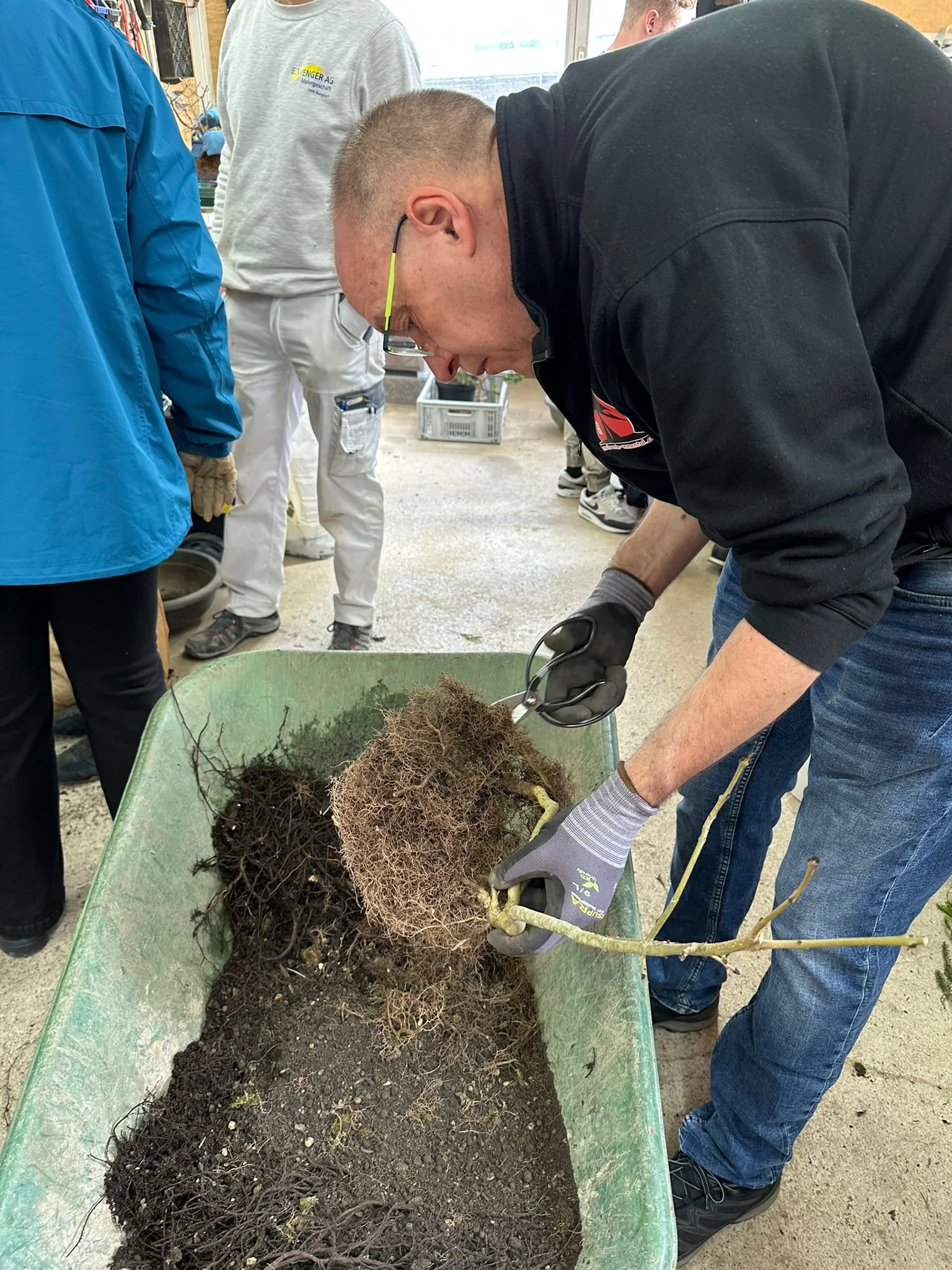 Bonsai umtopfen: Umtopfkurs für neue Mitglieder – 3 Teil von 3 Teilen
