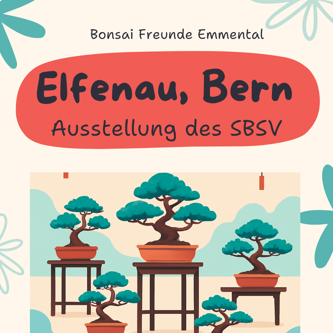 Schweizerische Bonsai &amp; Suiseki Ausstellung Elfenau, Bern