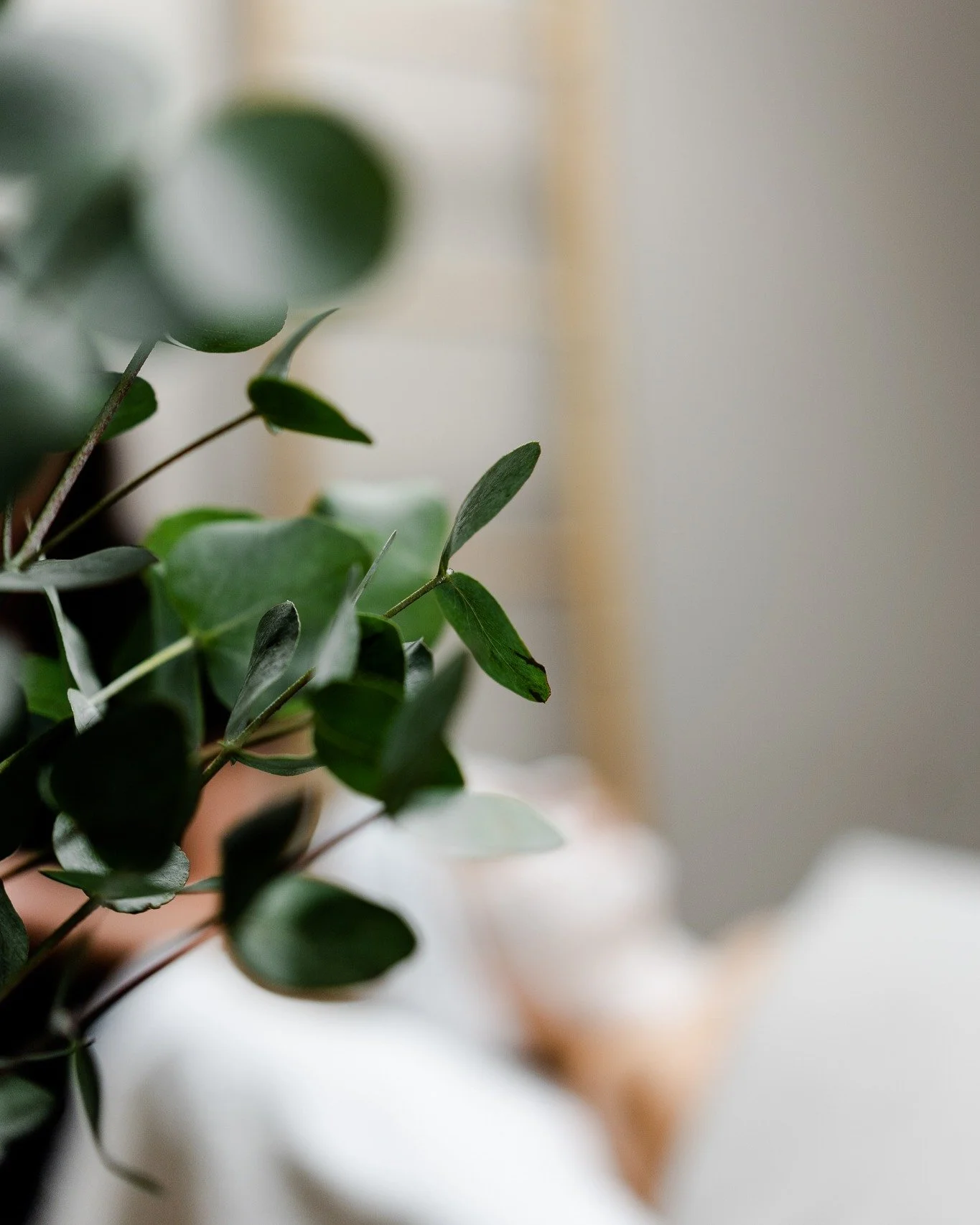 UUTTA: Harmony Spa -hoitopaketti johdattaa sinut kiireett&ouml;m&auml;&auml;n ymp&auml;rist&ouml;&ouml;n, jossa mieli lep&auml;&auml; ja keho rentoutuu. 
 
Hoito alkaa l&auml;mpim&auml;ll&auml;, aromaattisella kylvyll&auml;, jossa hierontasuihkut ja 