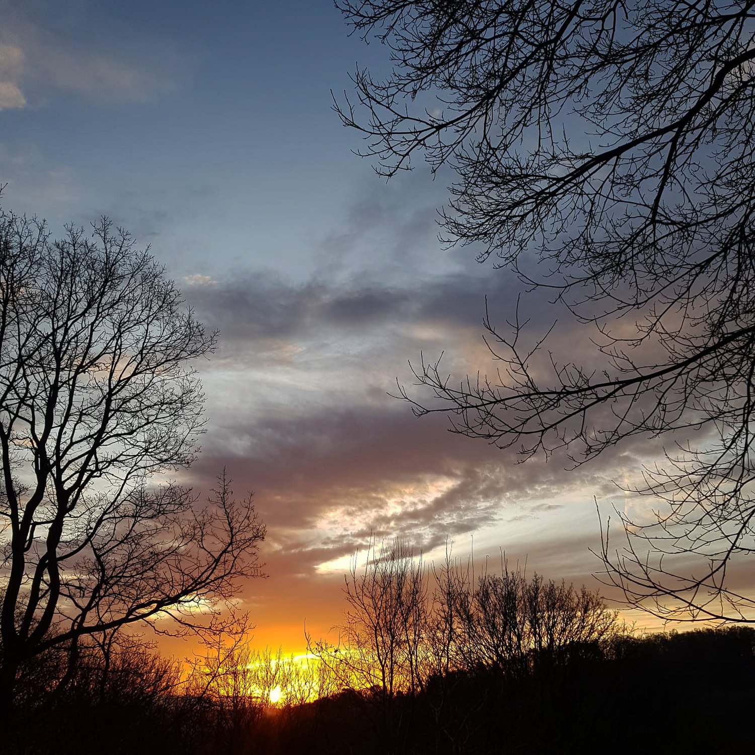 Episode 3 - Winter Dawn Chorus</a#x3E; episode artwork