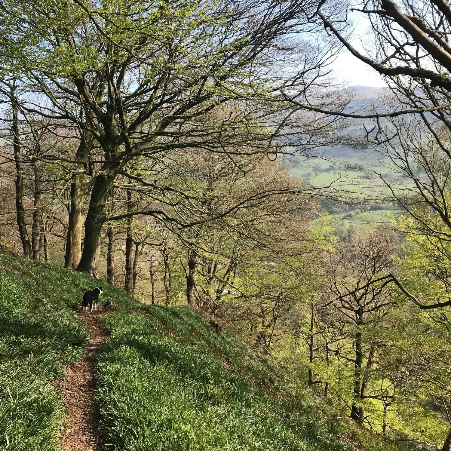 Episode 9 - Spring in the South Pennines episode artwork