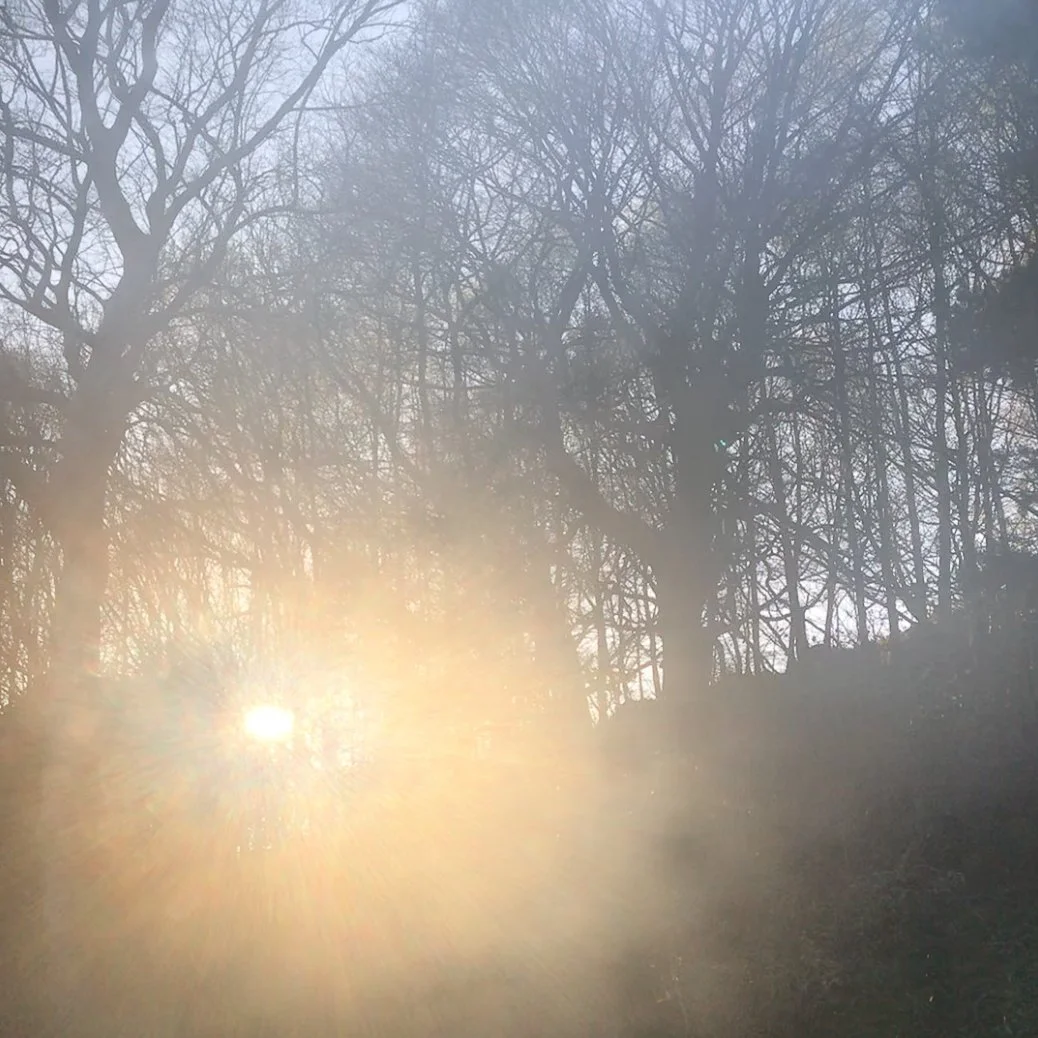 Episode 8 - April Dawn Chorus, Northern England episode artwork
