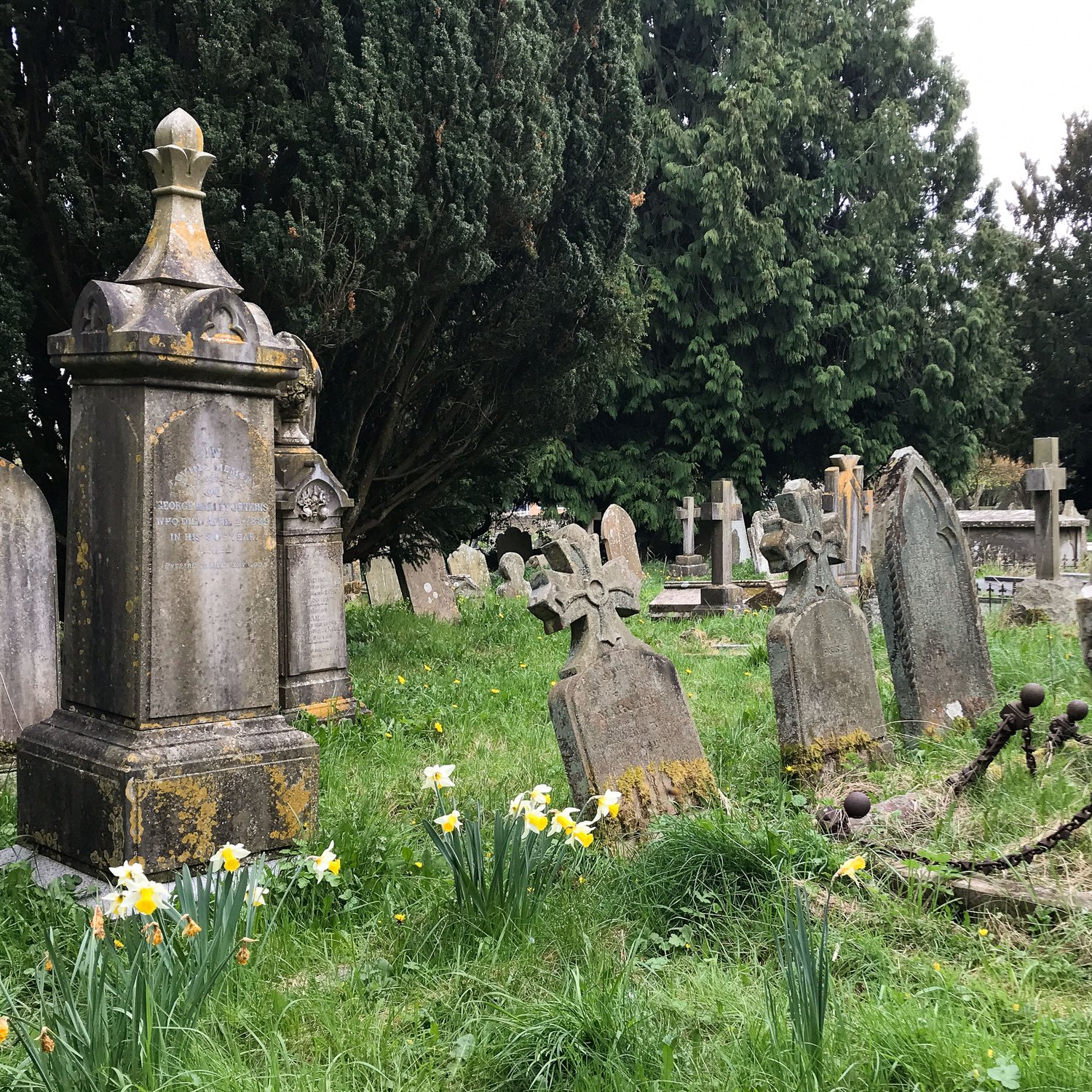 Nature Tripping Episode 17 - A Shropshire Graveyard