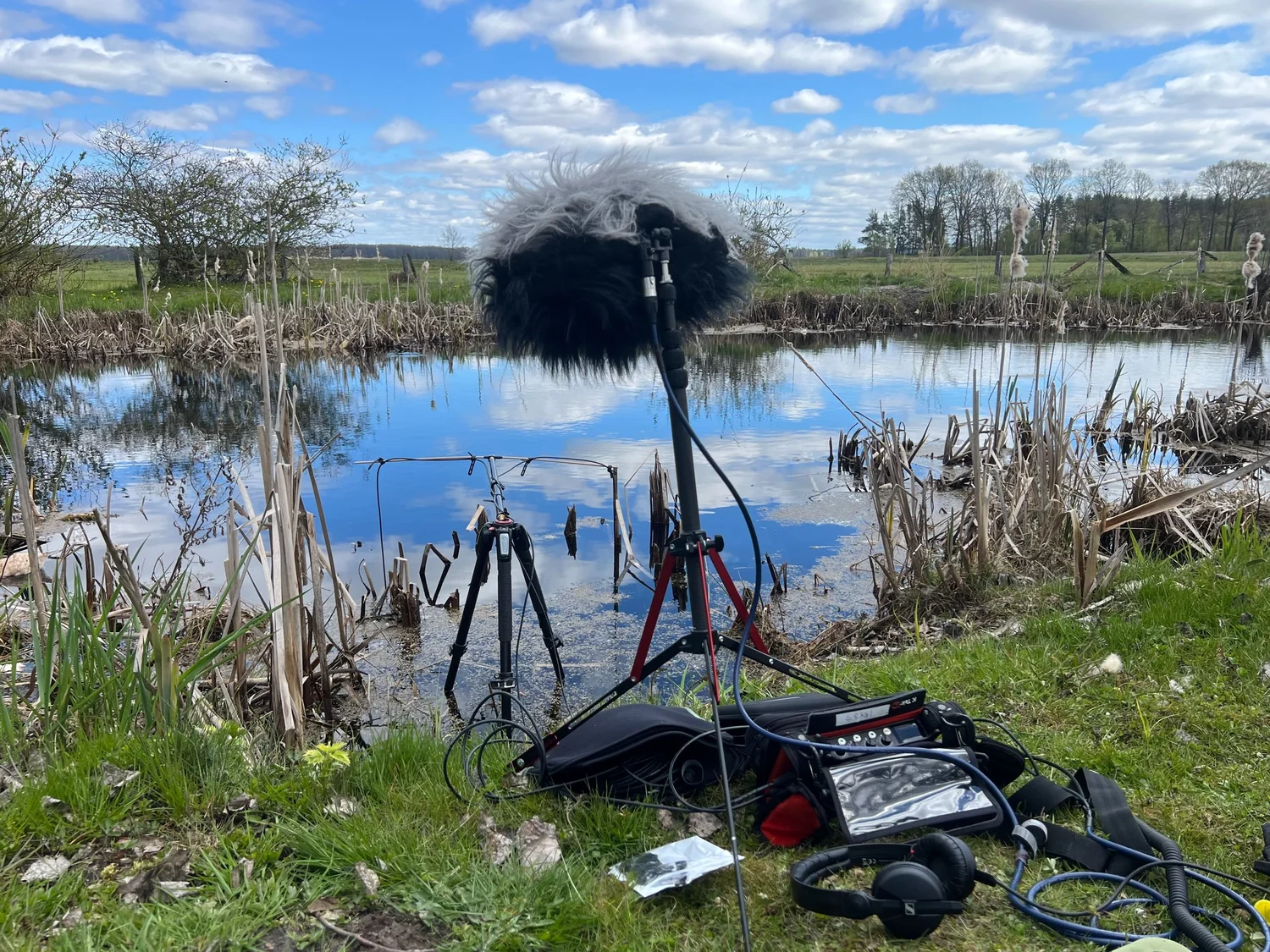 Nature Tripping Episode 33 - Listening to Dobarz episode artwork
