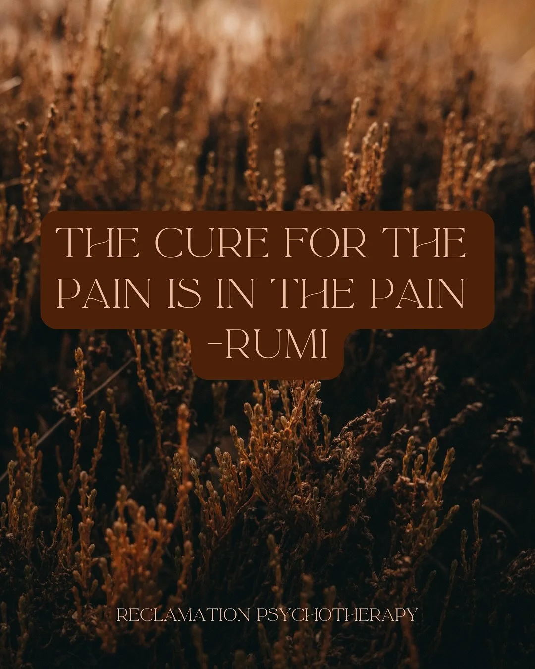 The pain IS the medicine.

The noticing

feeling

digesting

expressing

transmuting

IS

the medicine.

Your fear of the pain IS the medicine

Letting go of the ways in which you distract yourself from feeling the pain IS the medicine.

The more you