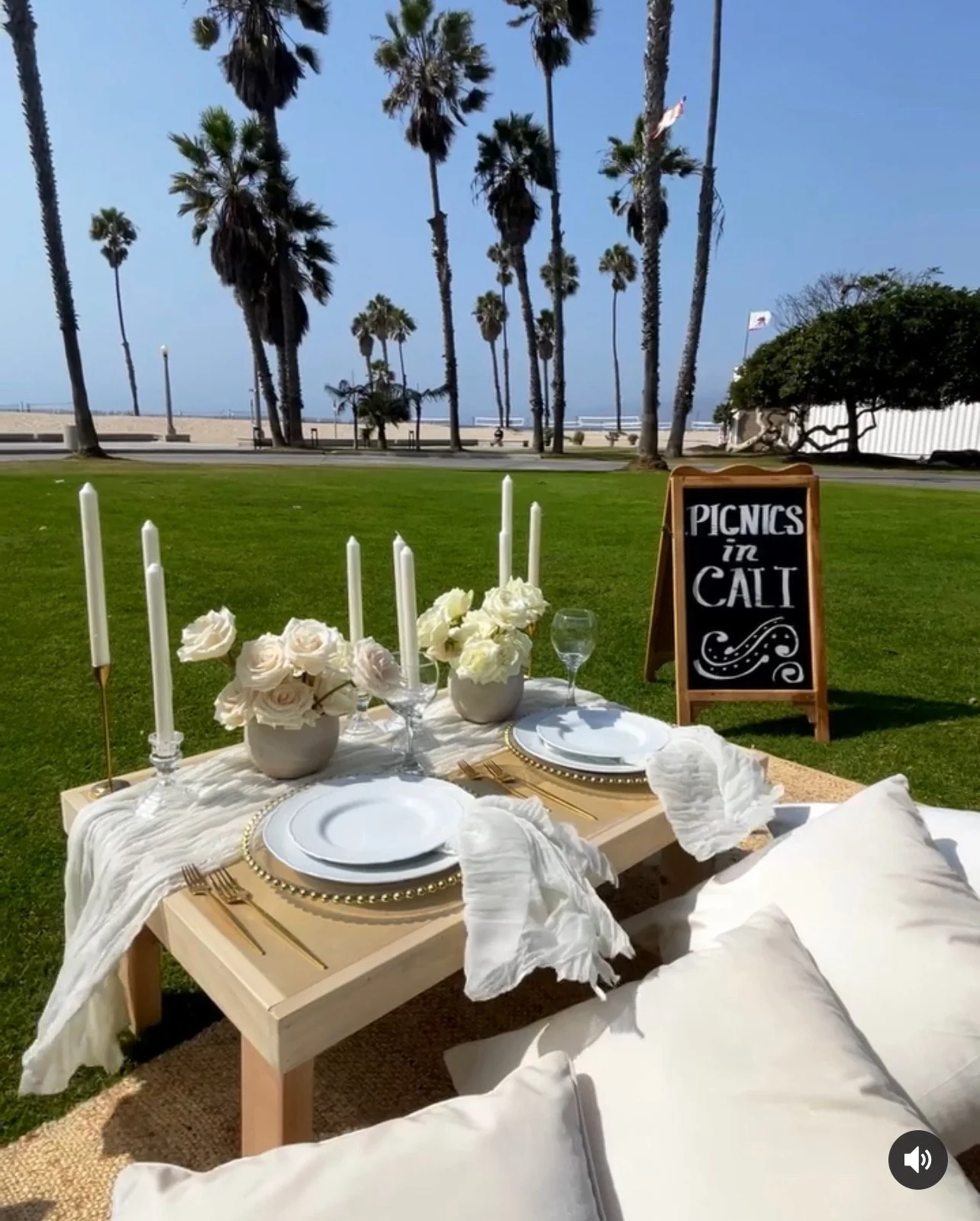 Luxury picnic setup at a Santa Monica park with white roses, elegant tableware, gold cutlery, candles, and white cushions beneath palm trees.