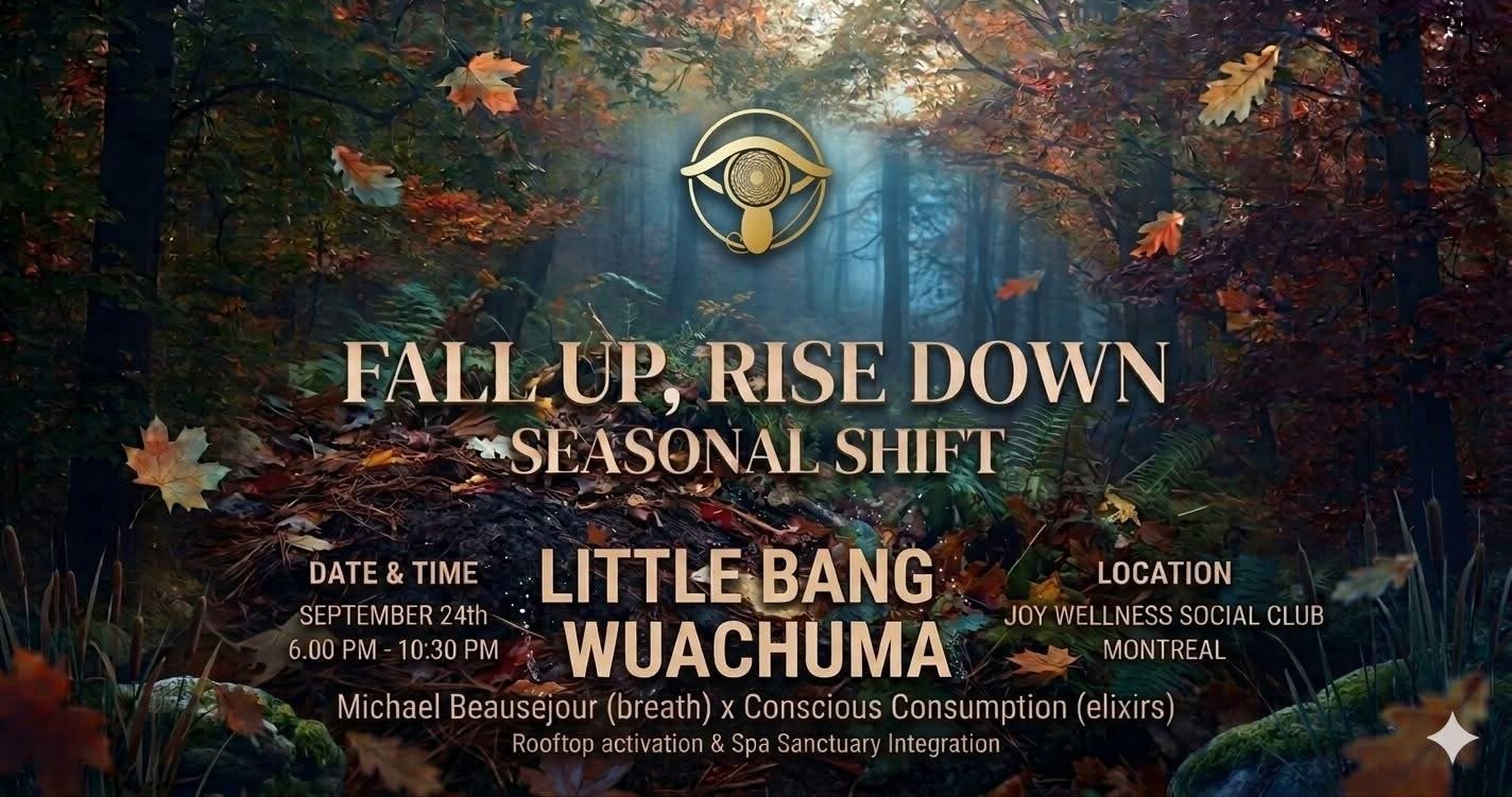 Fall Up | Rise Down – Danse, breathwork et connexion consciente