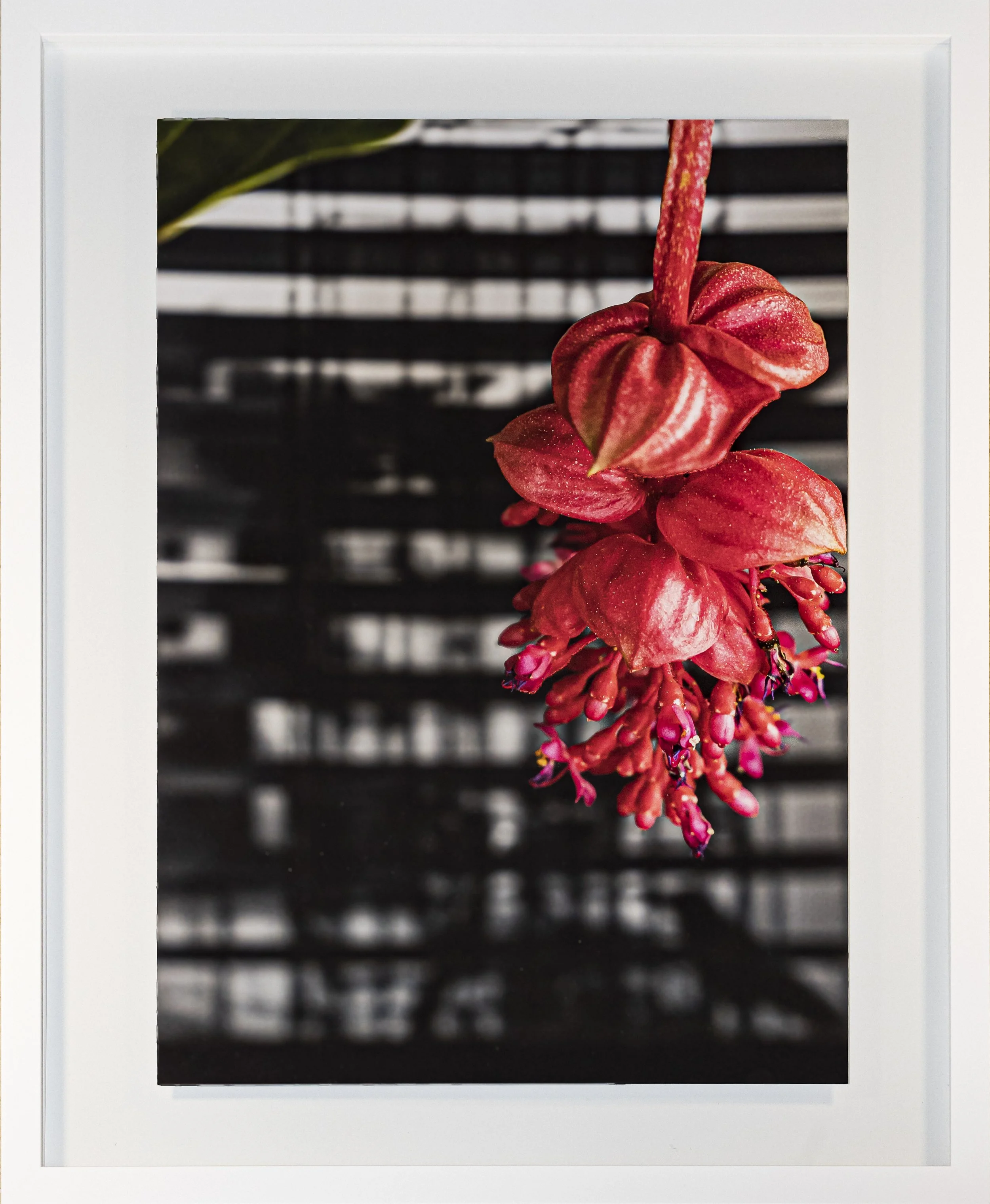 Interferenzen 5, 2025