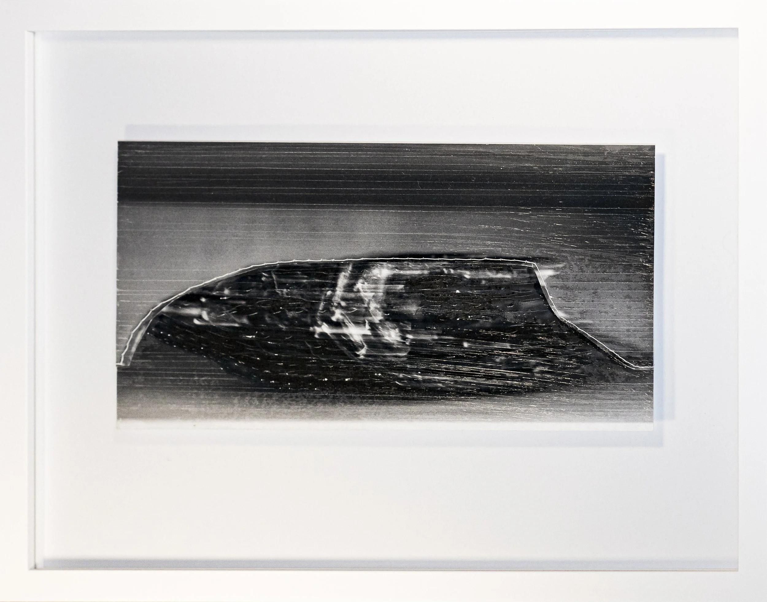 Interferenzen 14, 2025