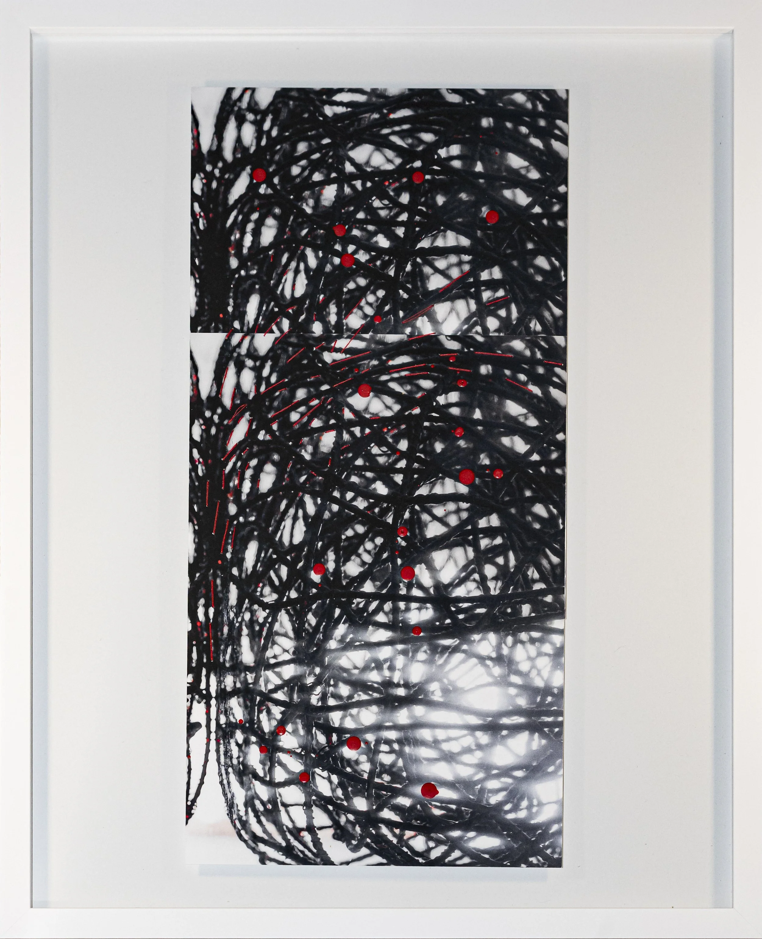 Interferenzen 16, 2025