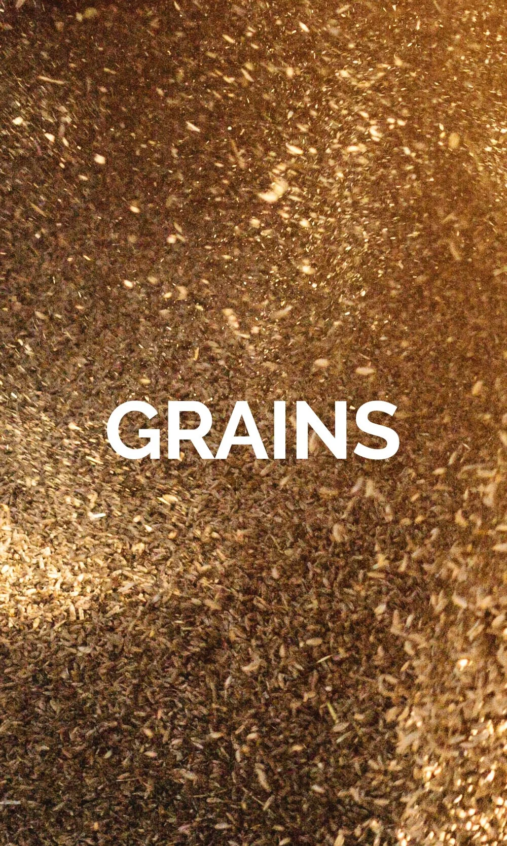 GRAINS.jpg