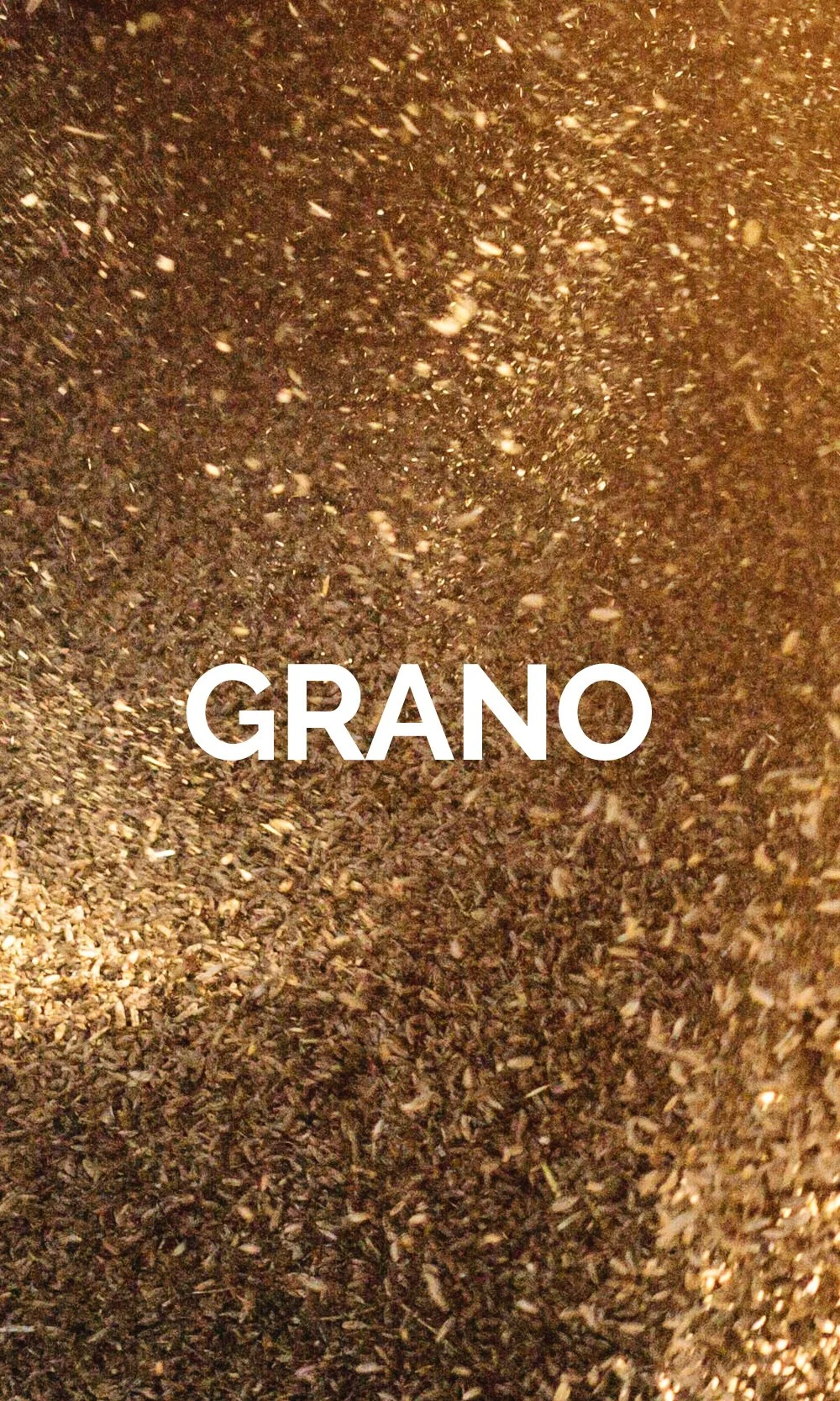 GRANO.jpg