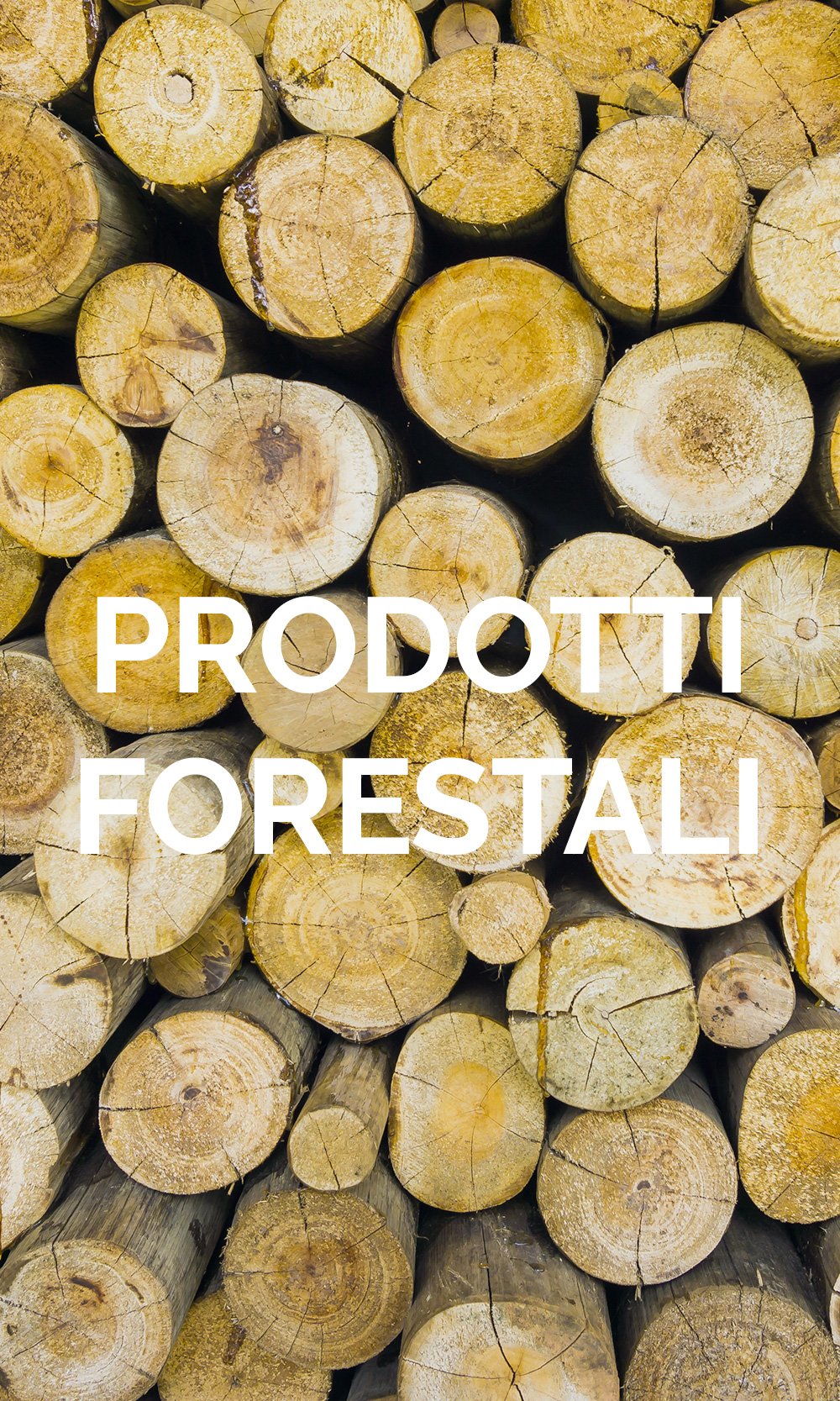 PRODOTTI-FORESTALI.jpg