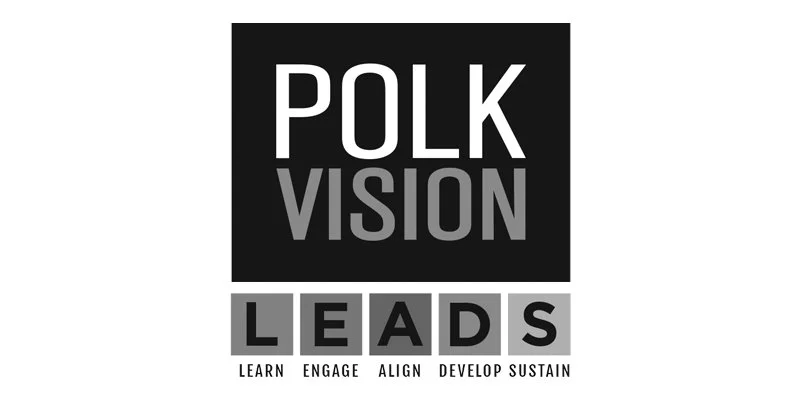 Polk Vision